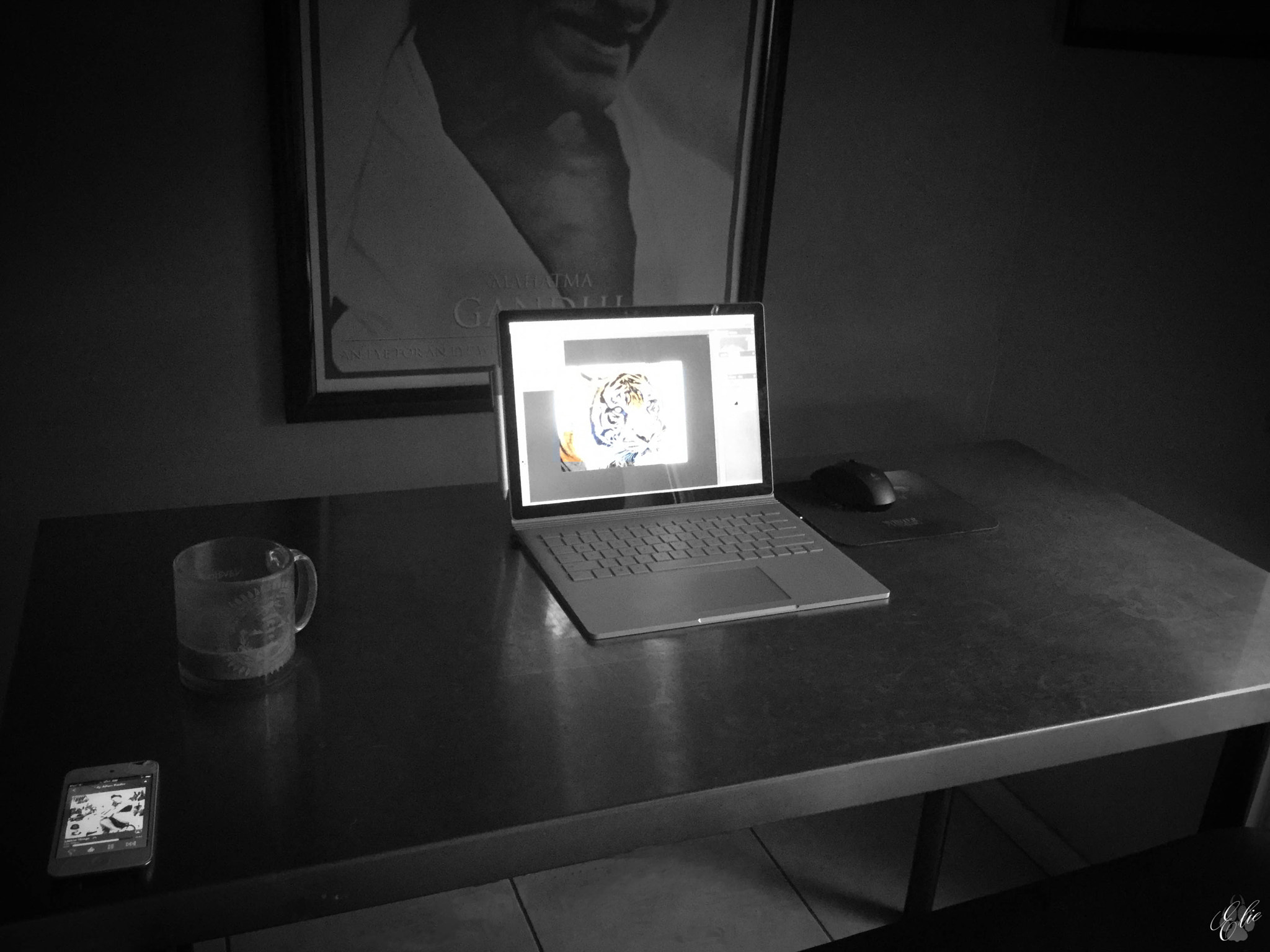 iPad Air 2 back camera 3.3mm f/2.4 sample photo. Workspace of a wildlife photographer photography