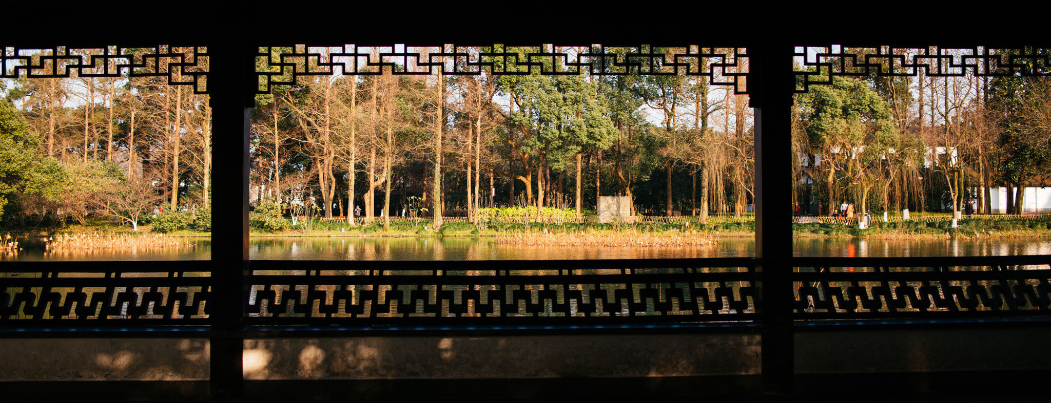 Nikon D810 sample photo. As if in the painting photography