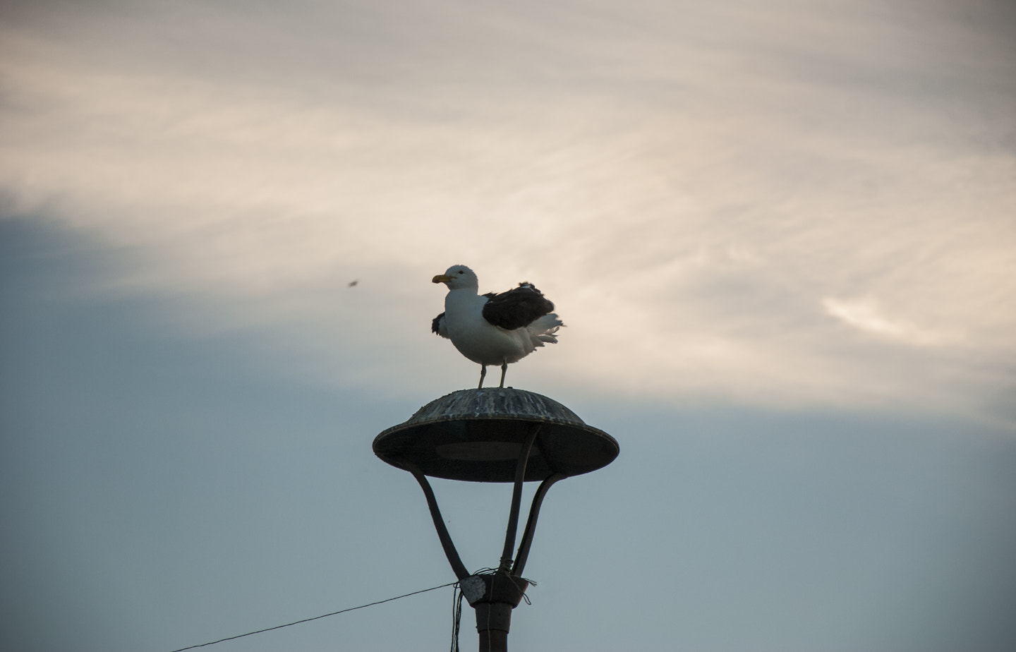 Nikon D80 sample photo. Sunset photography