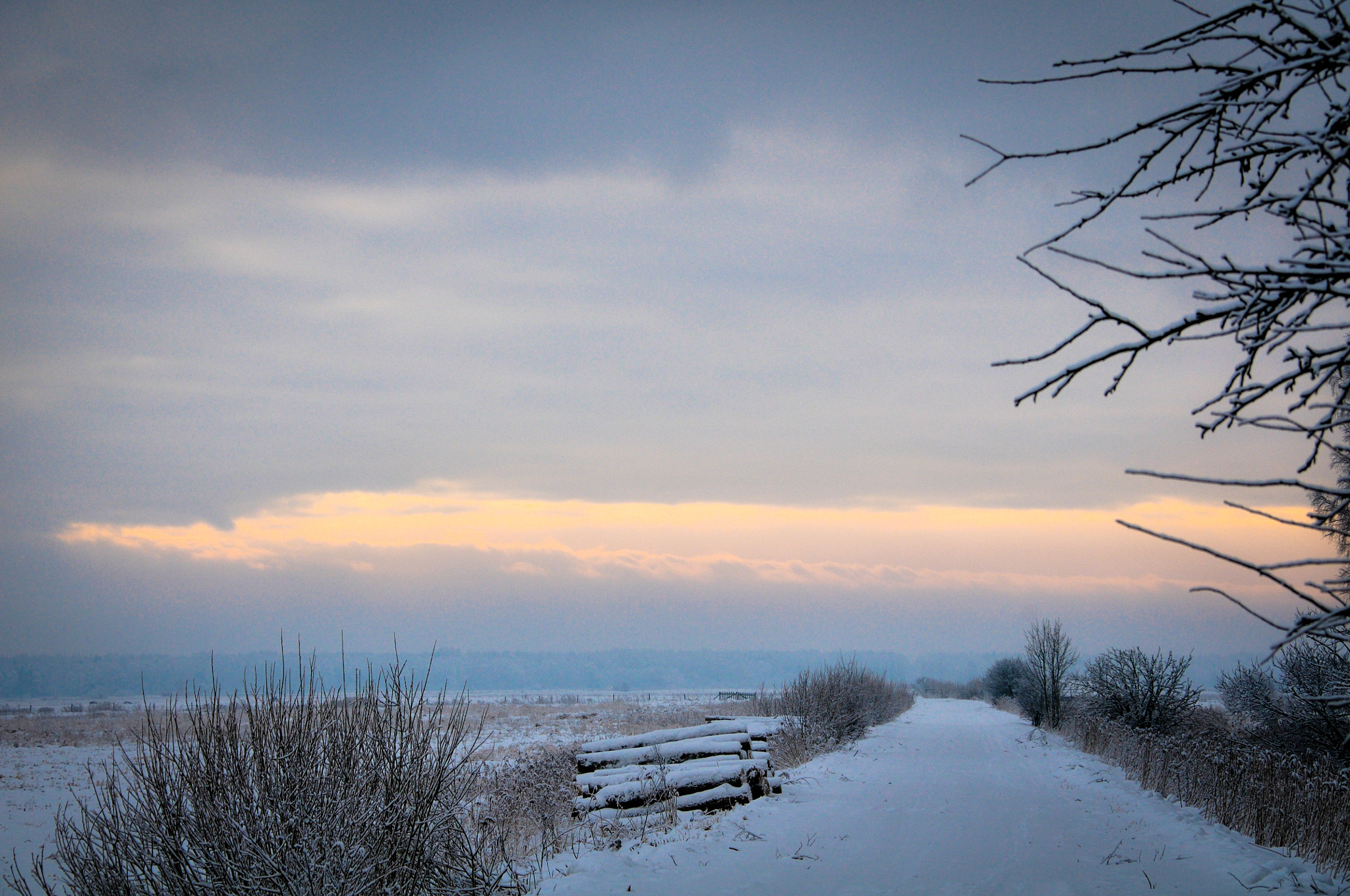 Nikon D300 sample photo. January photography