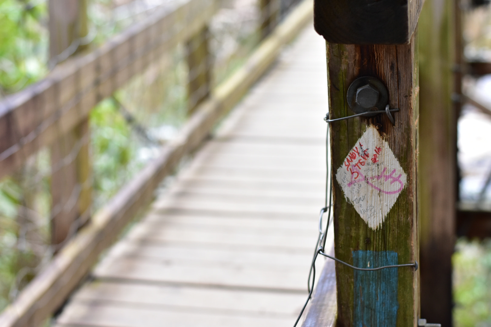 Nikon D3400 + Nikon AF-S Nikkor 50mm F1.8G sample photo