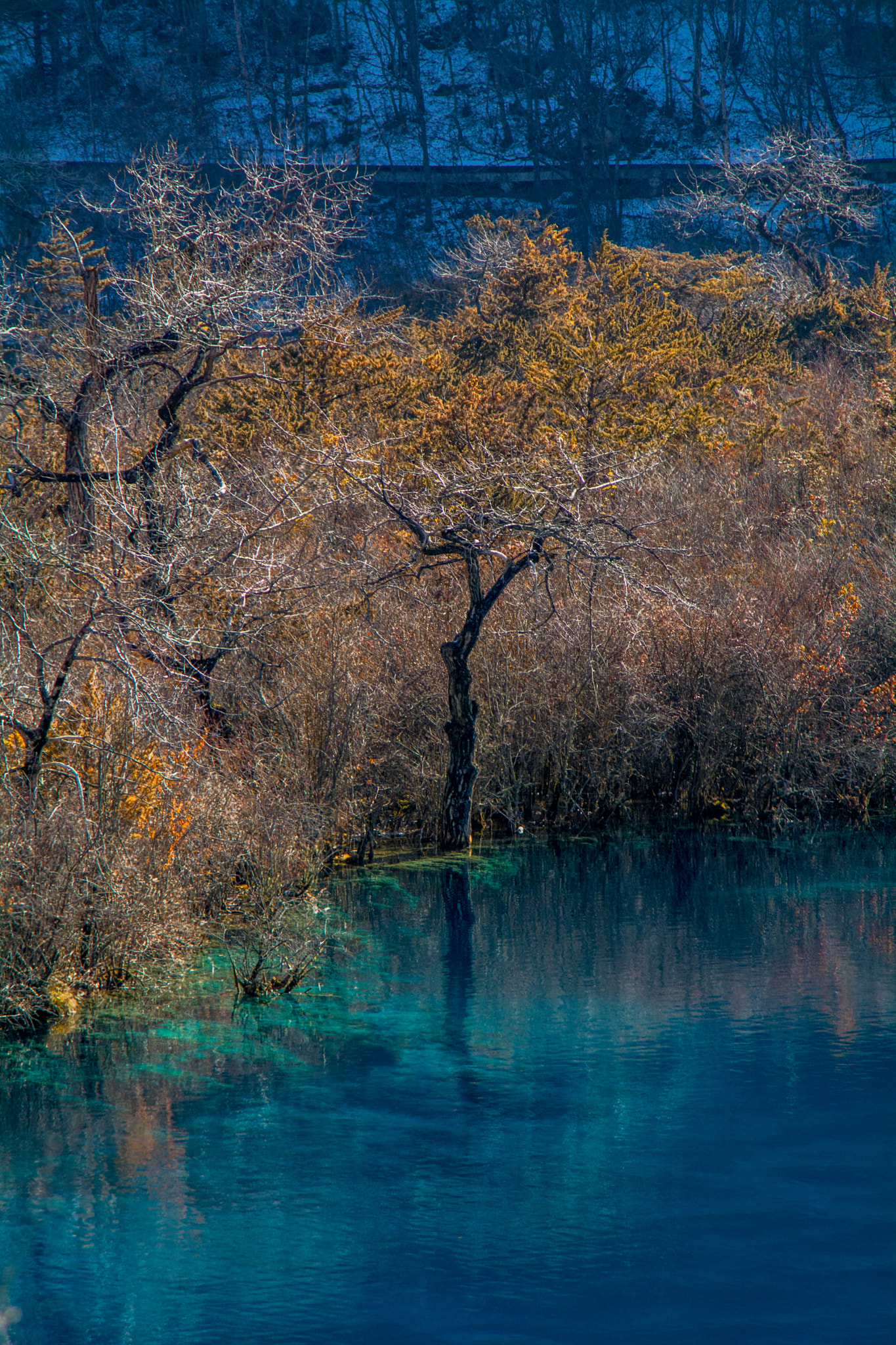 AF Zoom-Nikkor 70-210mm f/4 sample photo