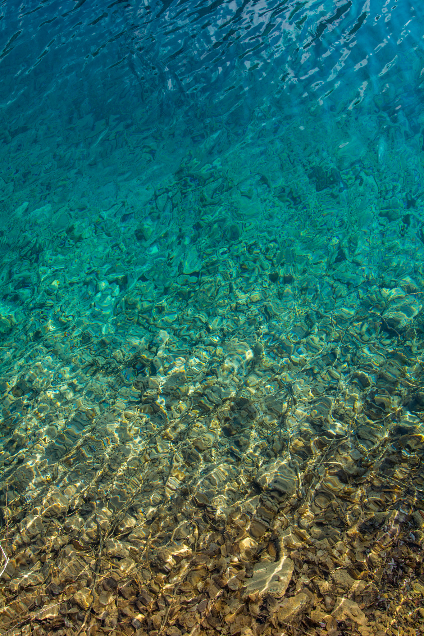Tokina AT-X Pro 12-24mm F4 (IF) DX sample photo