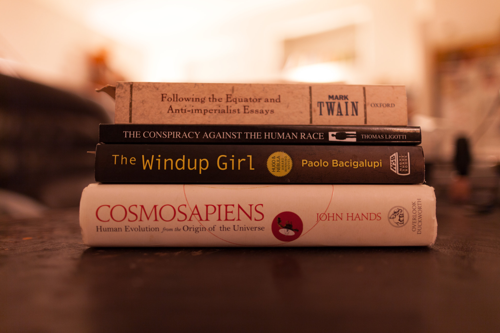 Canon EF 24mm F1.4L II USM sample photo. Current reading pile photography