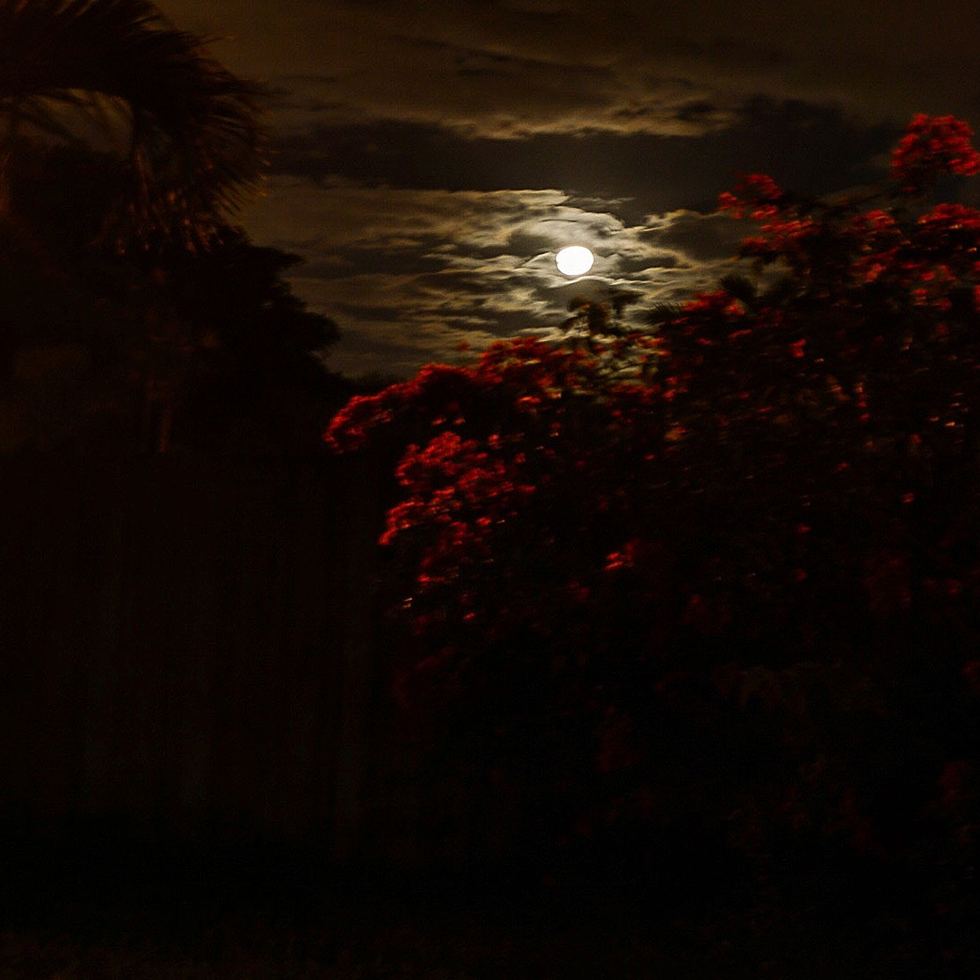 Sony a5100 sample photo. Miami full moon photography