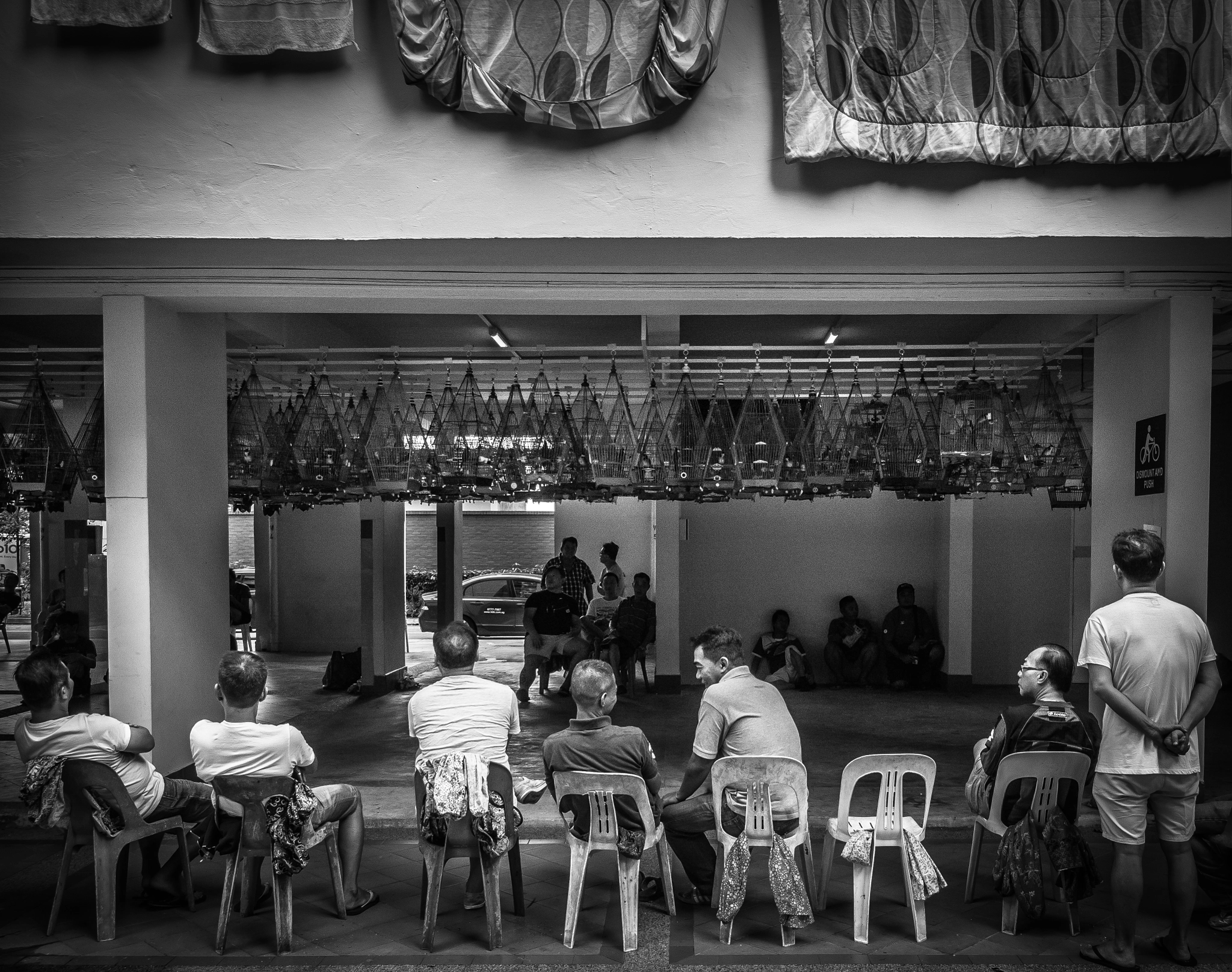 Olympus PEN-F + OLYMPUS M.9-18mm F4.0-5.6 sample photo. Bird men of yishun photography