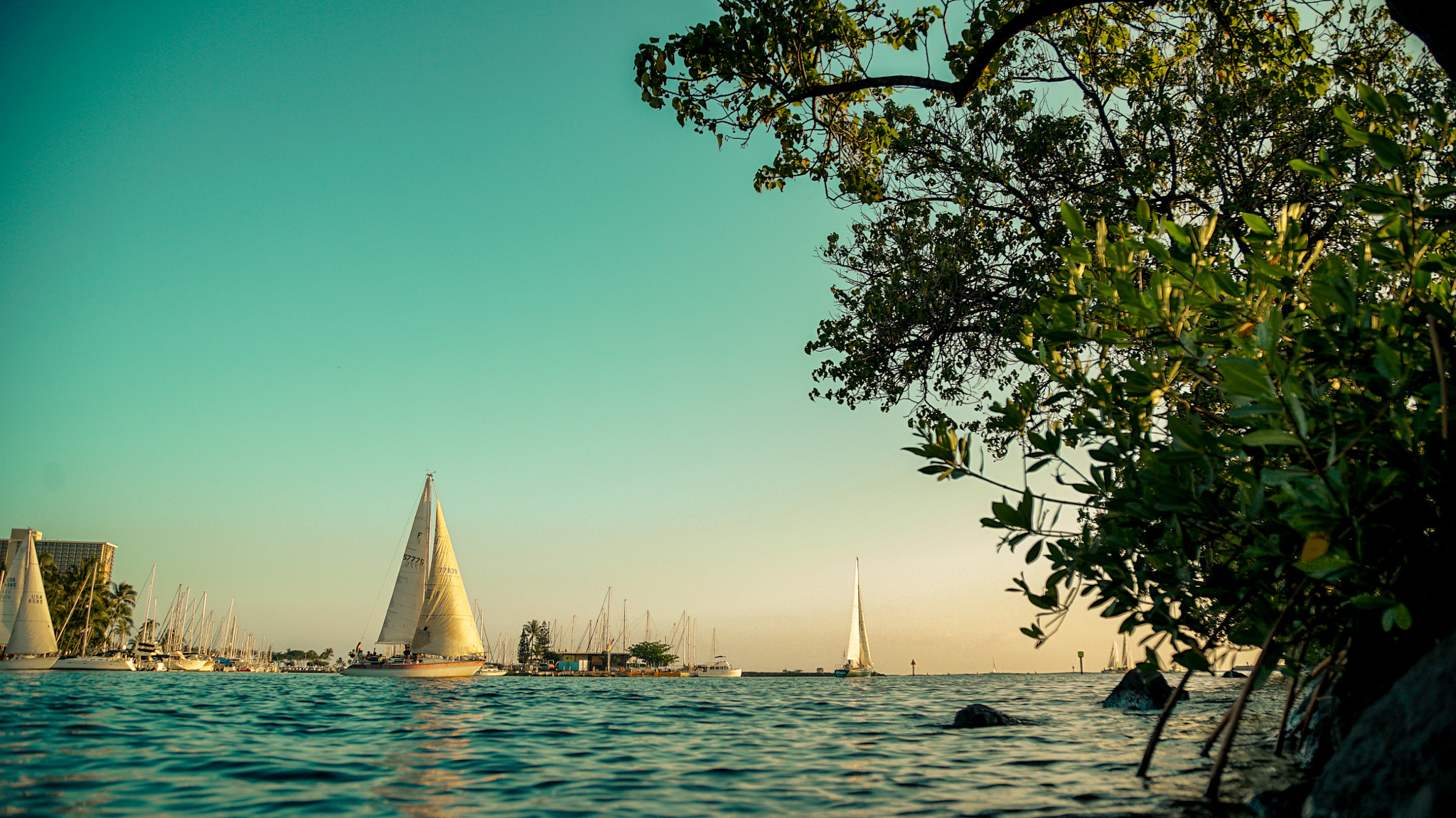 Sony a7S II sample photo. Ala wai harbor photography