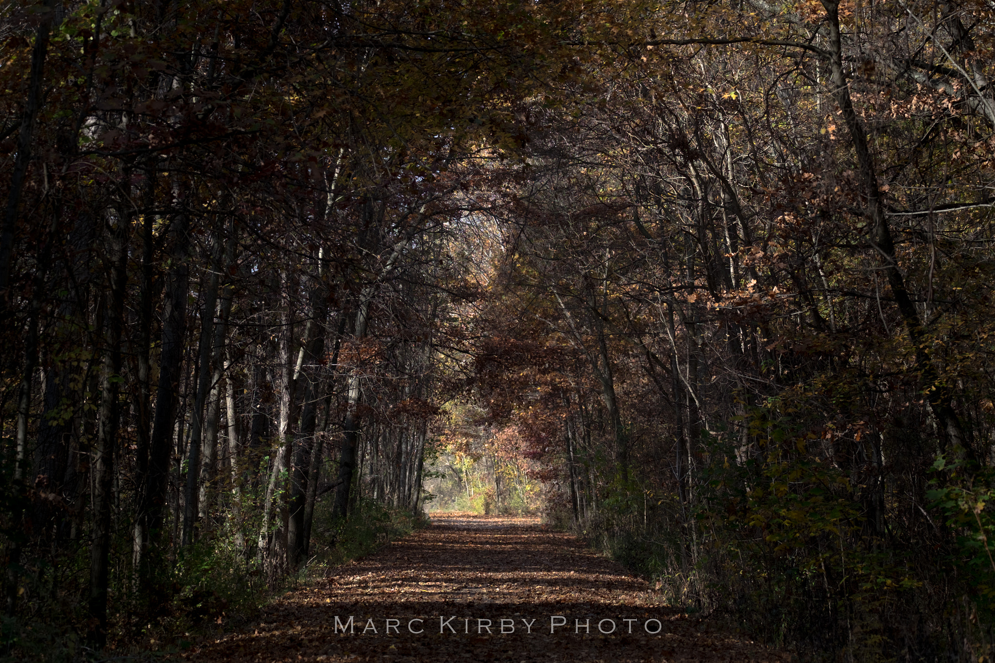 Fujifilm XF 100-400mm F4.5-5.6 R LM OIS WR sample photo. Light at the end . . . photography