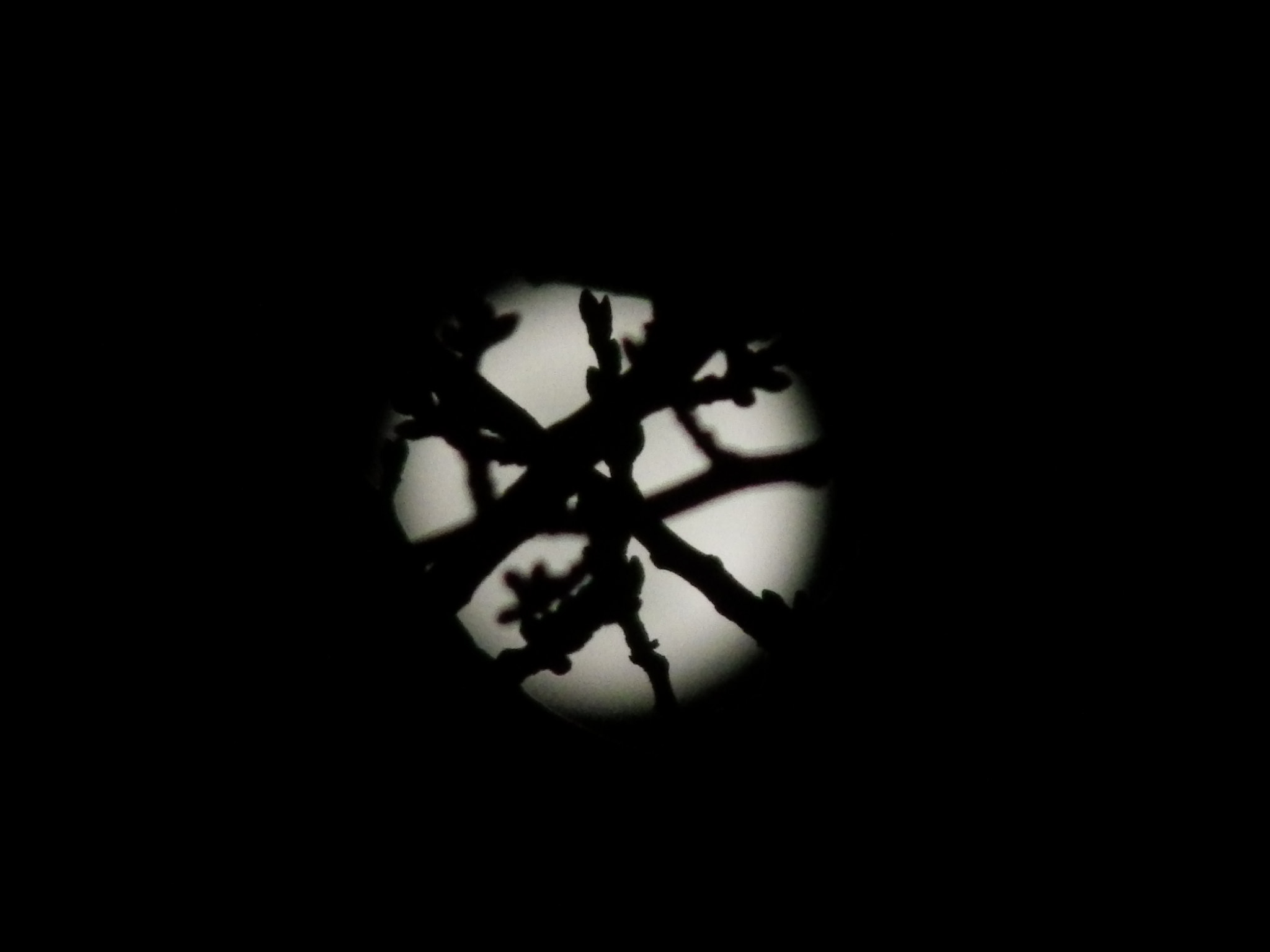 Pentax X-5 sample photo. Full moon photography