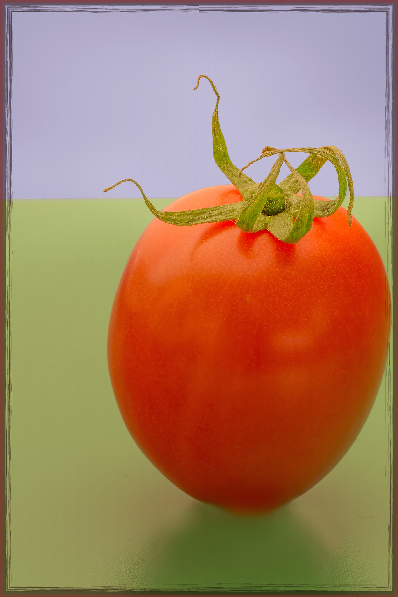 Canon EF 100mm F2.8L Macro IS USM sample photo. Tomato on vine photography