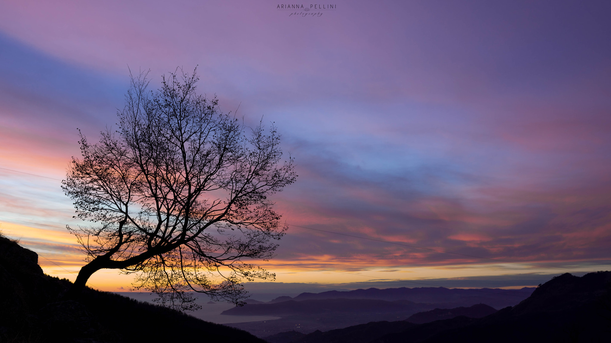 Sony a7R + Sony DT 50mm F1.8 SAM sample photo. Beautiful colors of nature photography