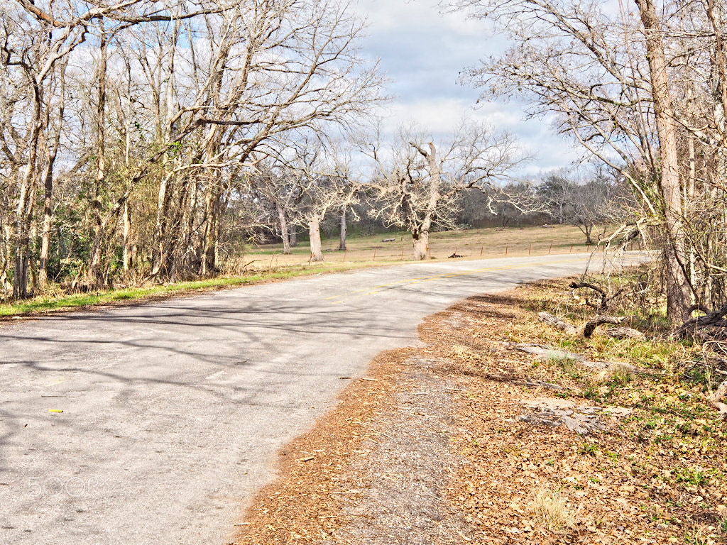 Olympus PEN E-PL7 + LUMIX G 25/F1.7 sample photo. The backroad photography