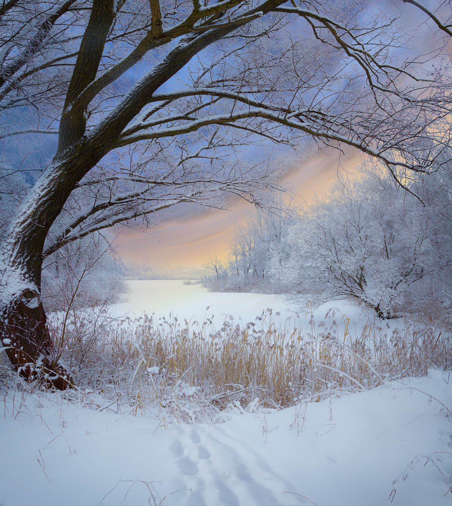 Canon EF 75-300mm F4.0-5.6 IS USM sample photo. Winter landscape photography