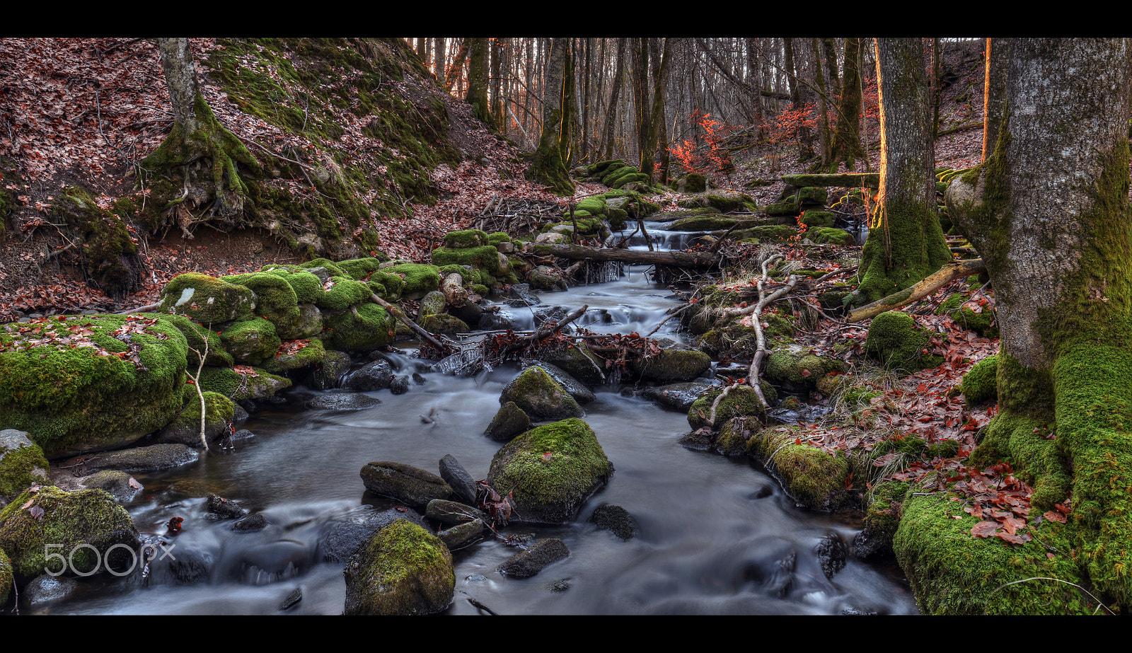 Nikon D800E + Tamron SP 15-30mm F2.8 Di VC USD sample photo. The brook in the ravine... photography
