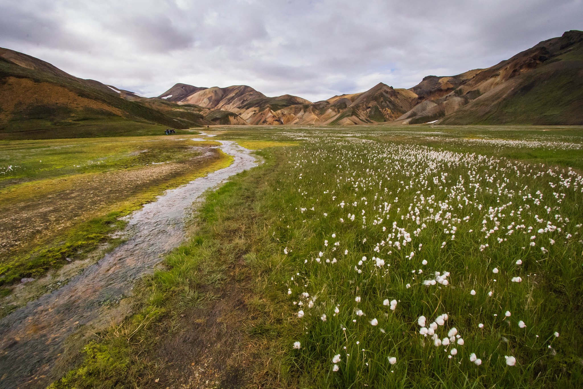 Canon EF-S 10-22mm F3.5-4.5 USM sample photo. Meadows of landmannalaugar photography