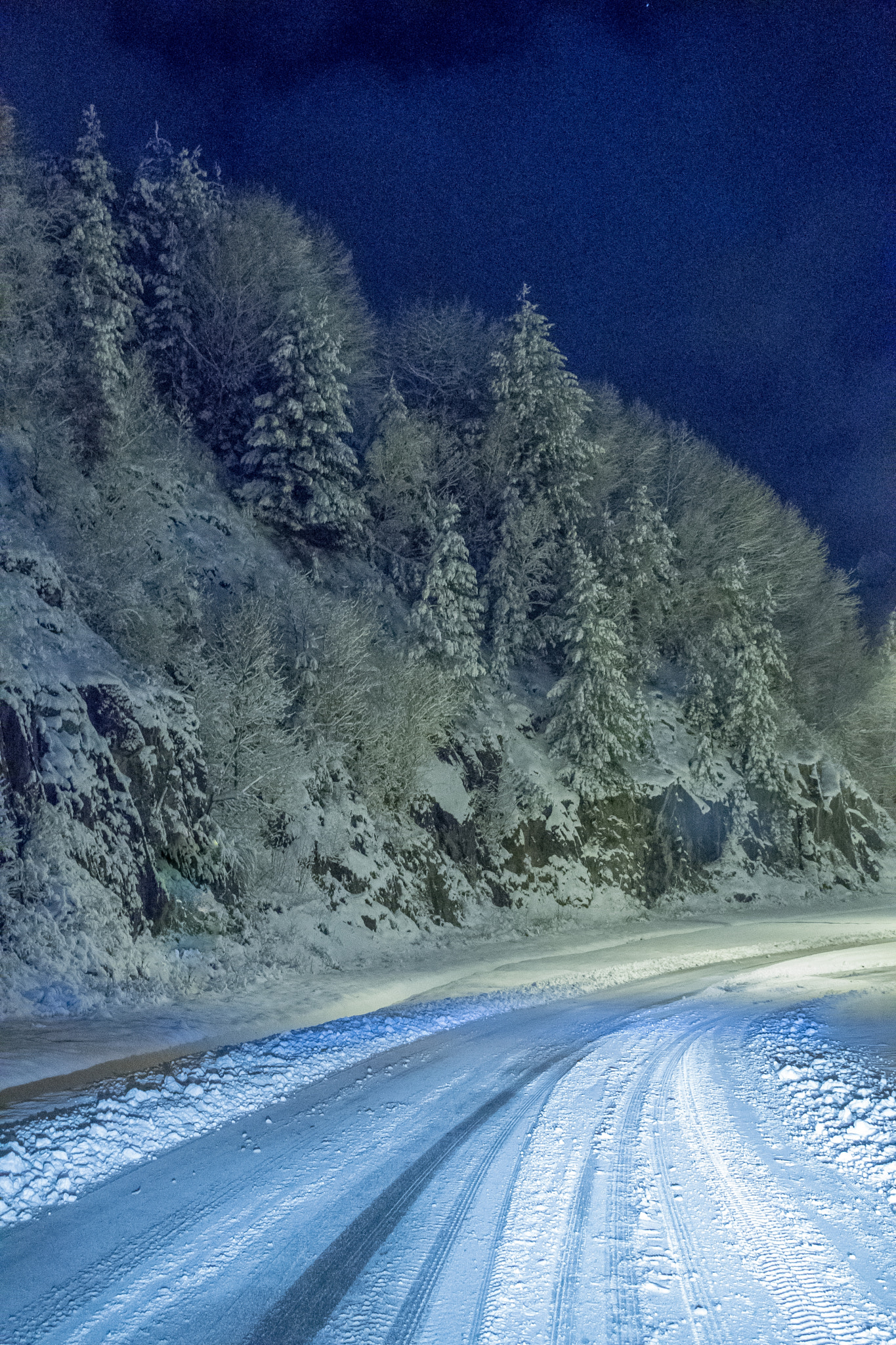 Nikon D500 sample photo. Night and snow photography
