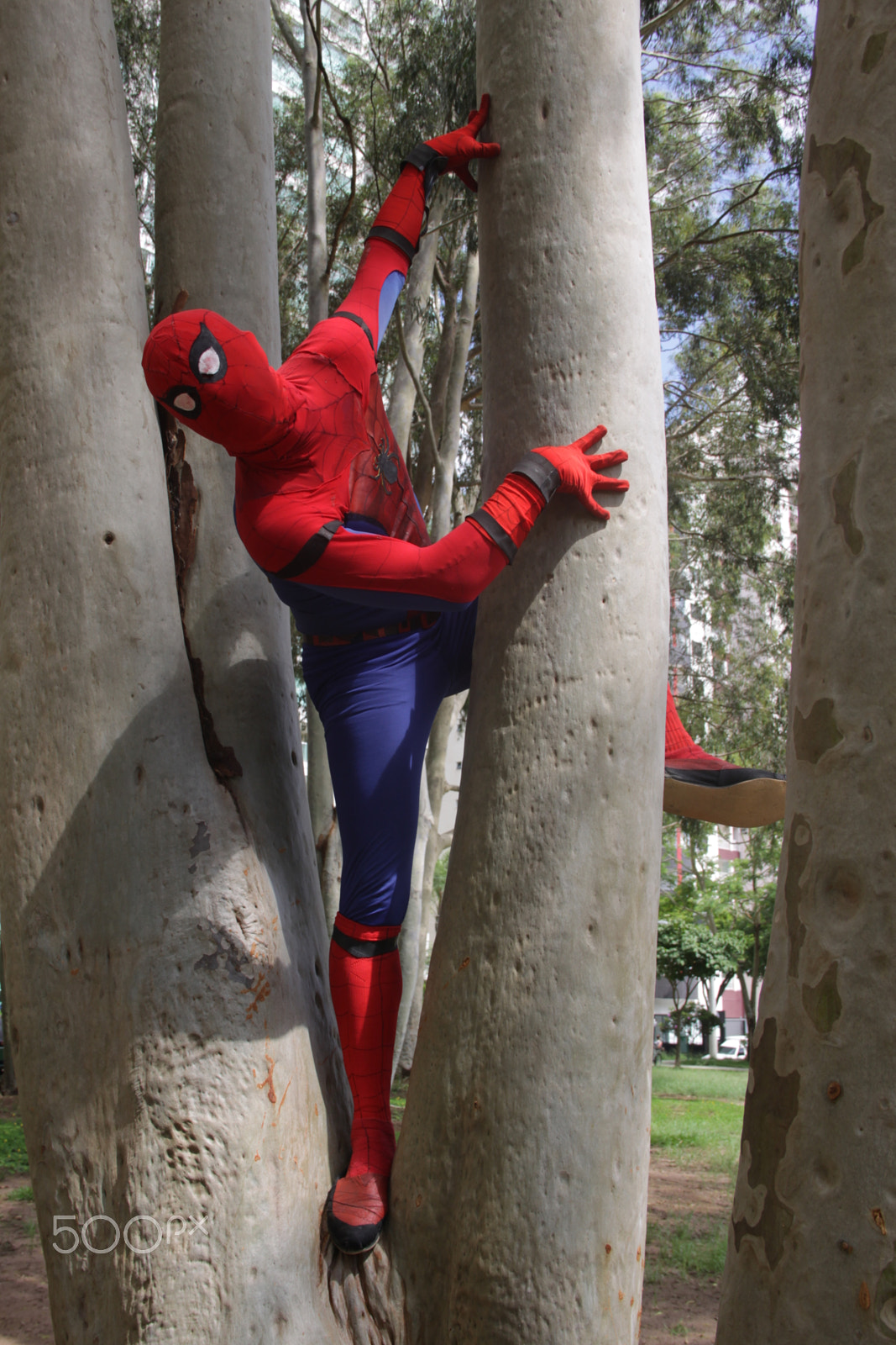 Canon EOS 50D sample photo. Homem aranha no brasil photography
