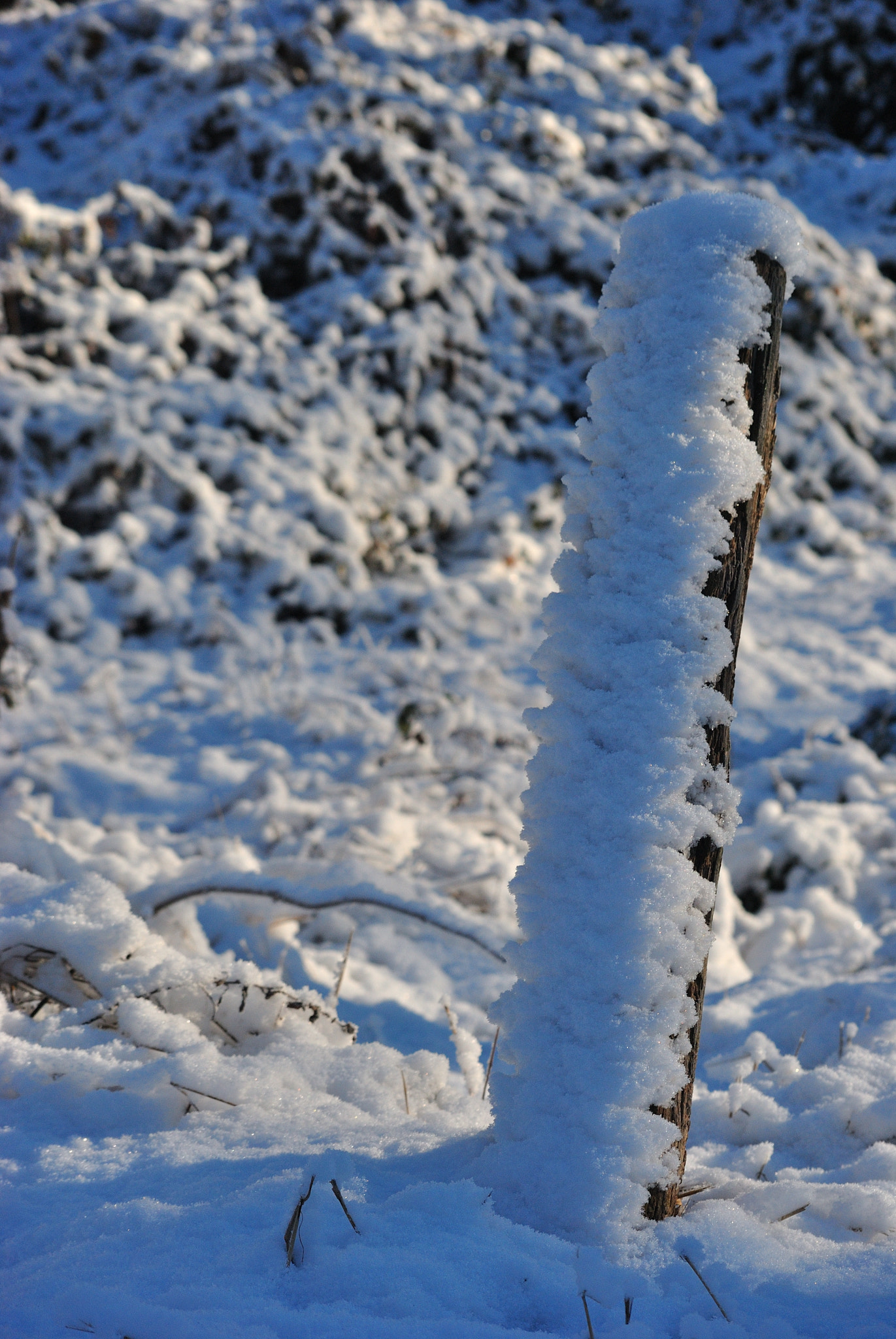 Nikon D3000 sample photo. Peace after the storm photography