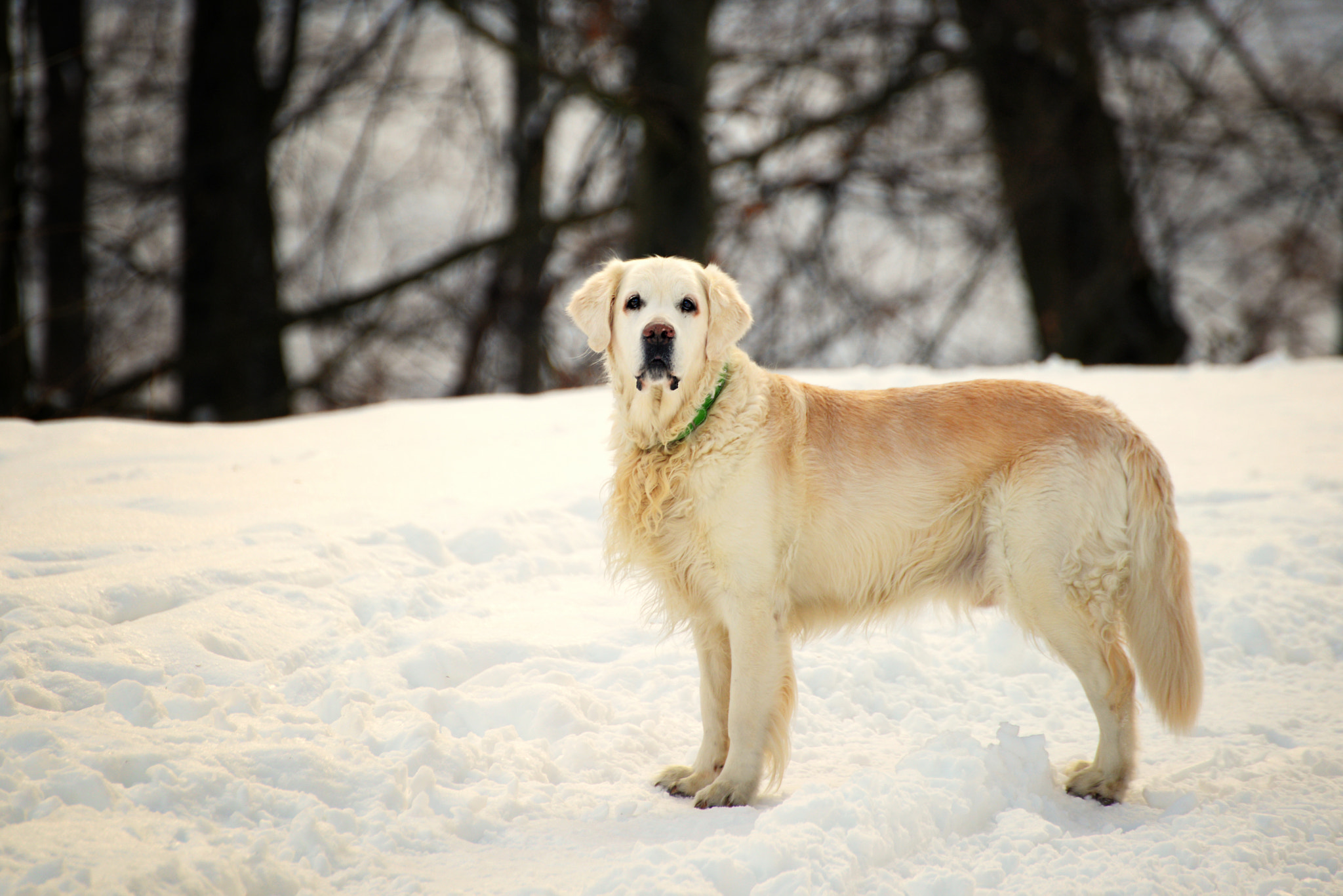 Nikon D800 sample photo. X photography