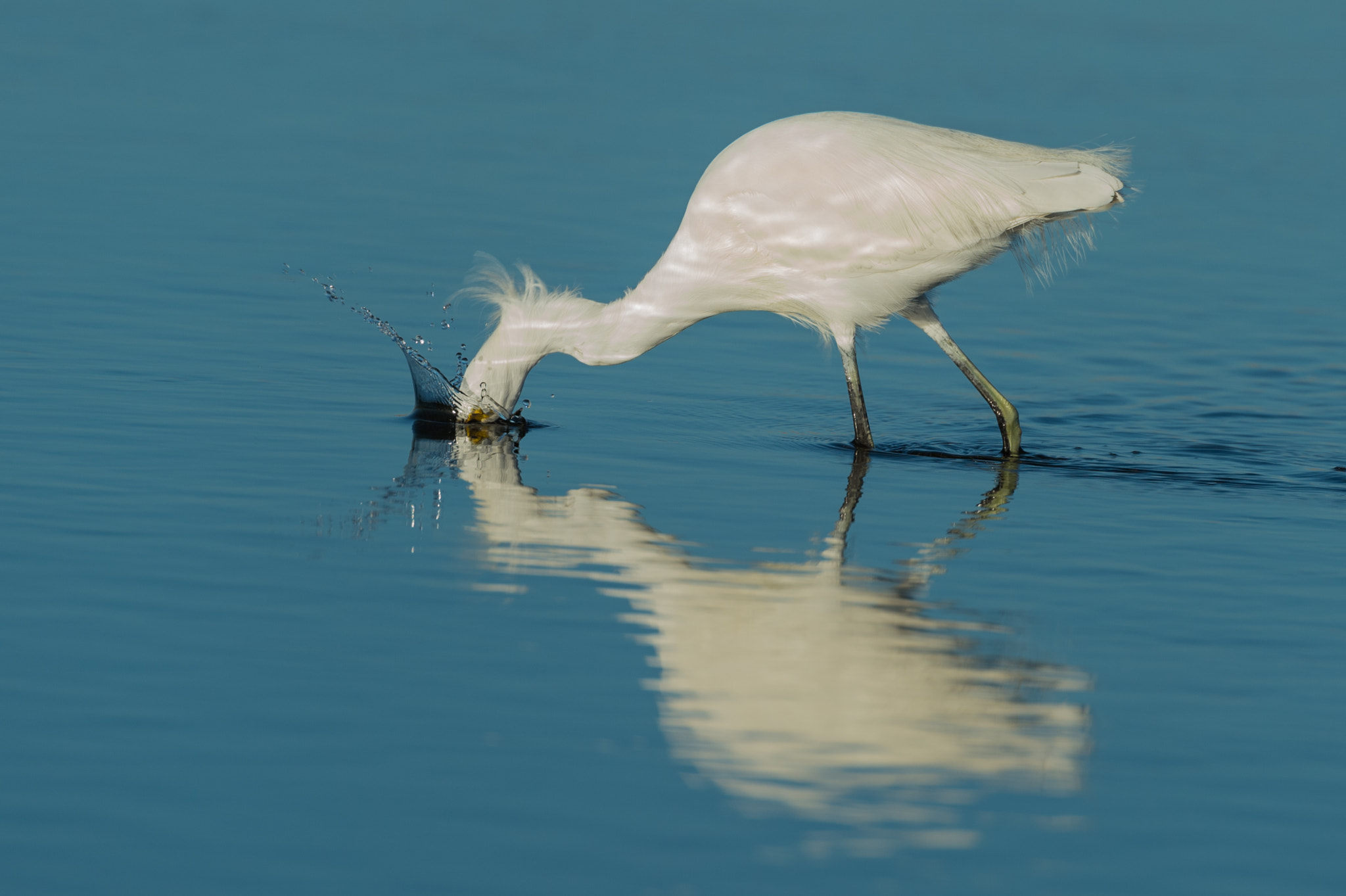 Nikon D4S sample photo. Snowy fishing photography