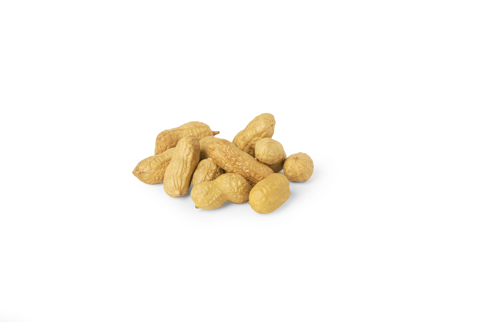Canon EF 100mm F2.8L Macro IS USM sample photo. Peanuts photography