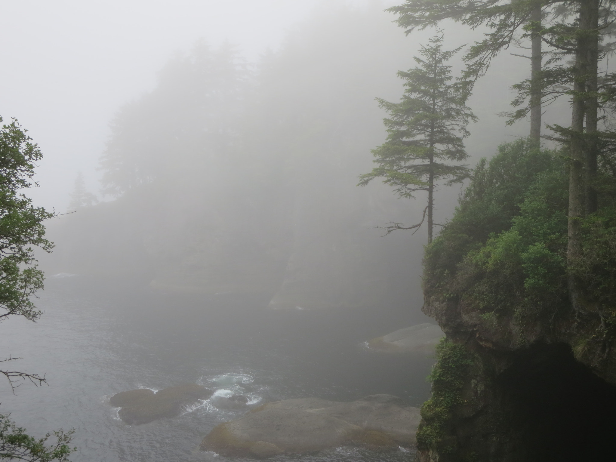 Canon PowerShot ELPH 330 HS (IXUS 255 HS / IXY 610F) sample photo. Cape flattery washington photography