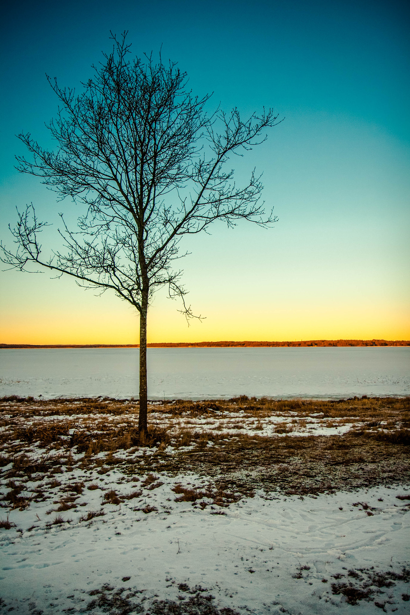 Canon EF-S 17-55mm F2.8 IS USM sample photo. Winter in sweden photography