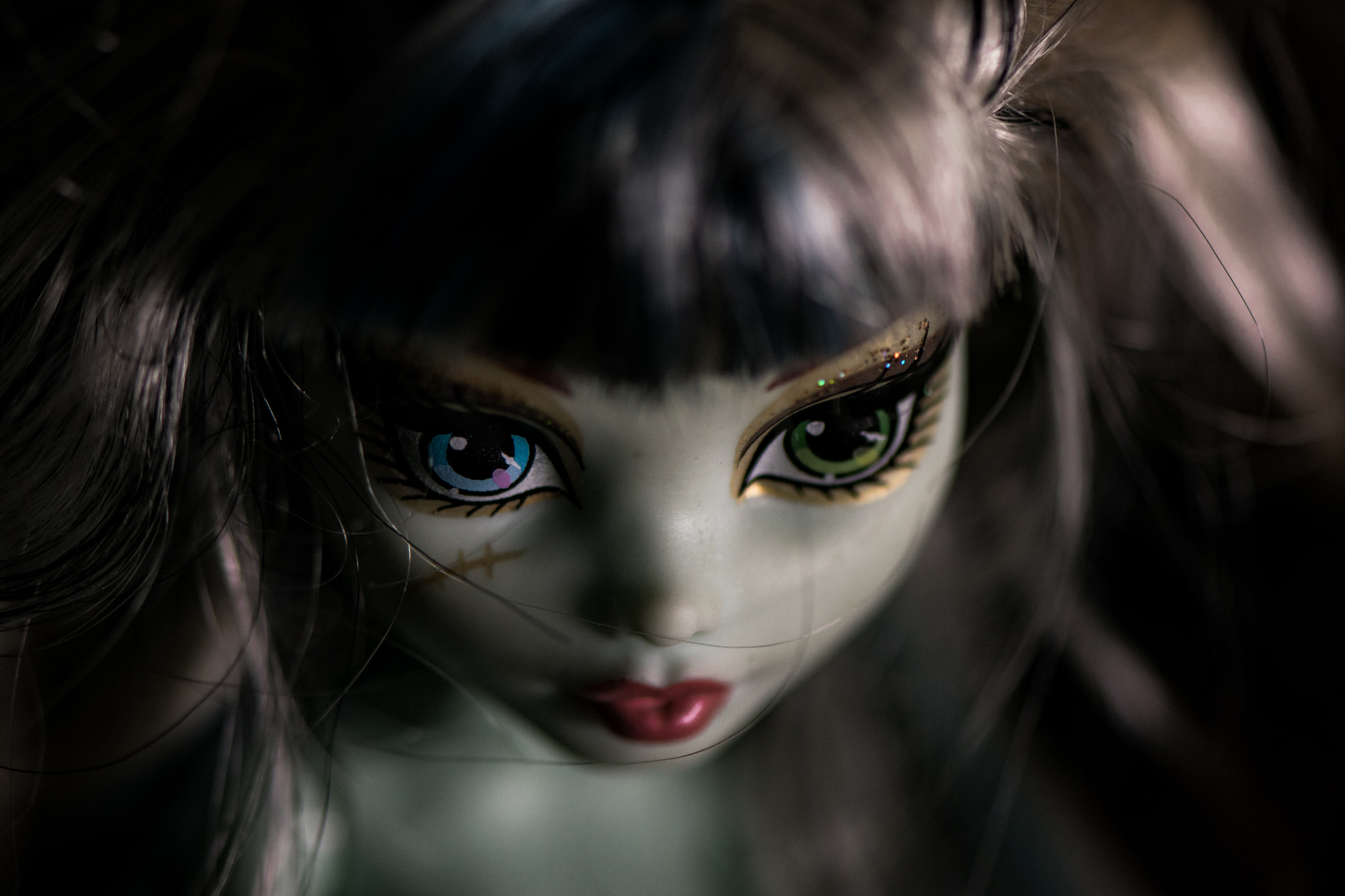 Nikon AF-S Micro-Nikkor 105mm F2.8G IF-ED VR sample photo. Frankie stein photography