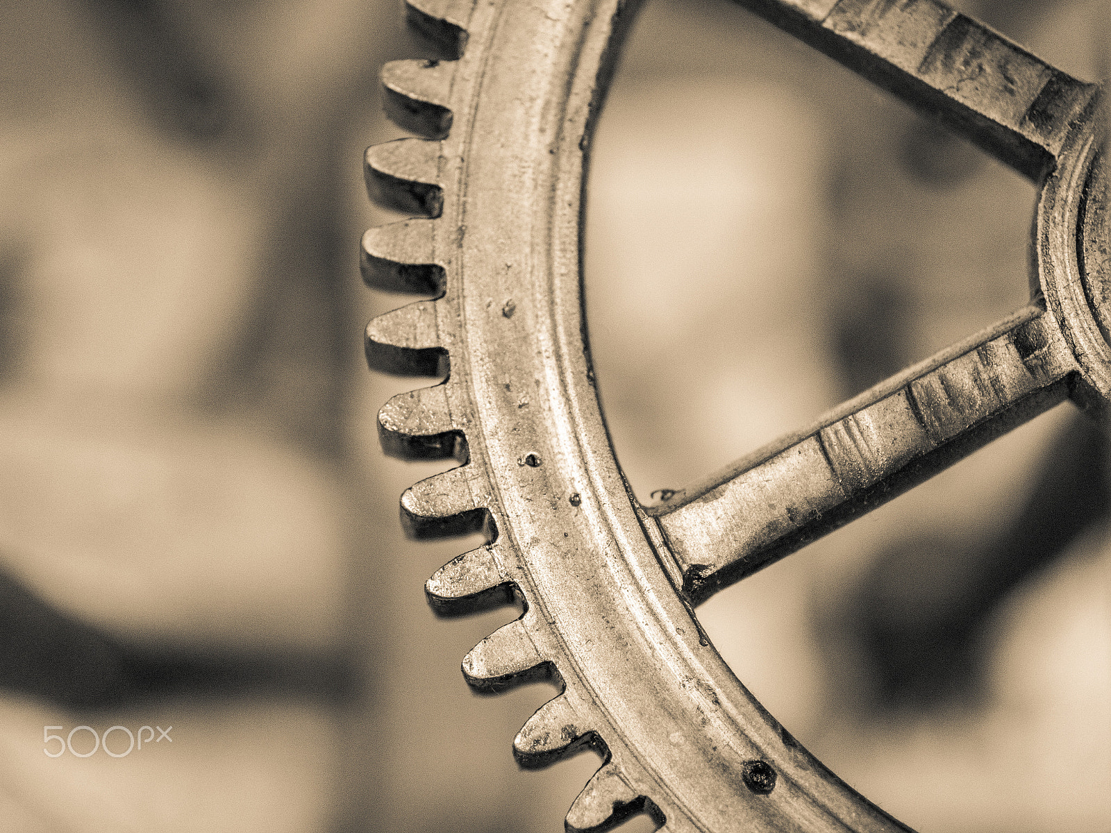 Canon EF 50mm F2.5 Macro sample photo. Zacatlan photography