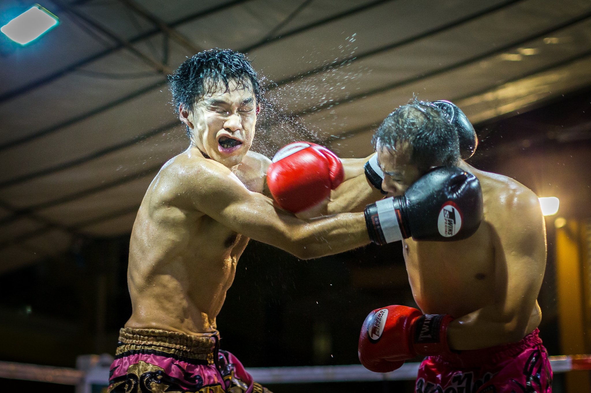 Canon EOS-1D X sample photo. Fight evolution 4 photography