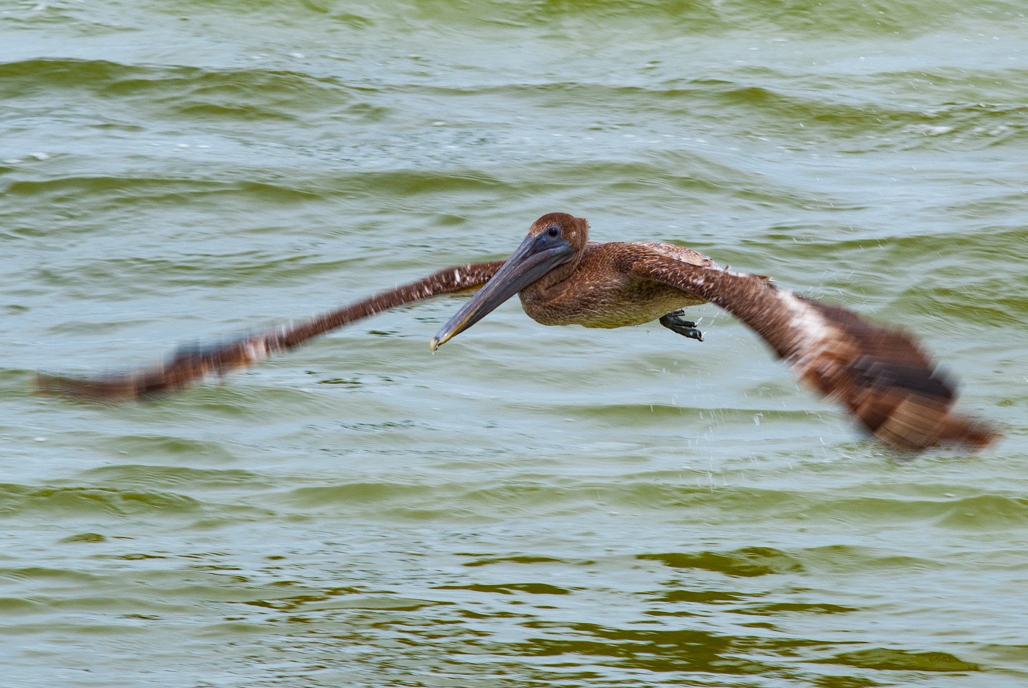 AF Zoom-Nikkor 35-135mm f/3.5-4.5 sample photo. Fcr photography