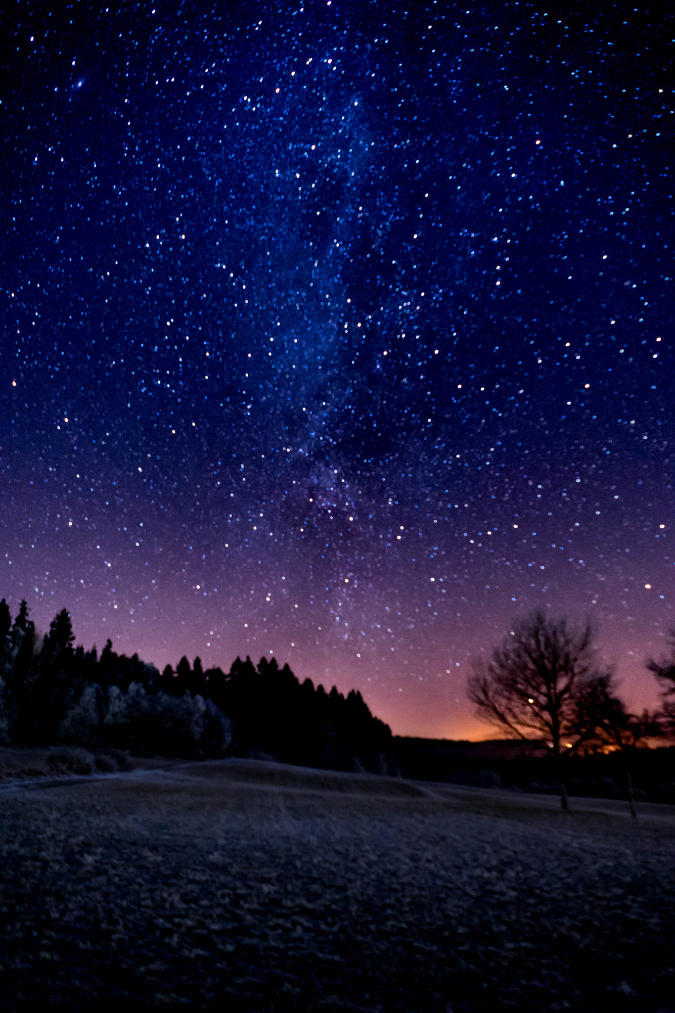 Sony FE 28mm F2 sample photo. Frosty night photography