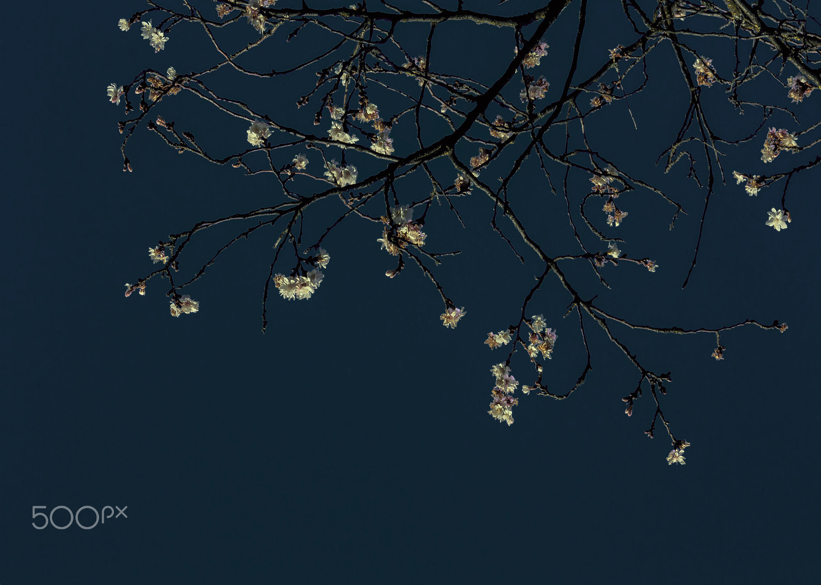 Sigma 105mm F2.8 EX DG OS HSM sample photo. The frame of the sky photography