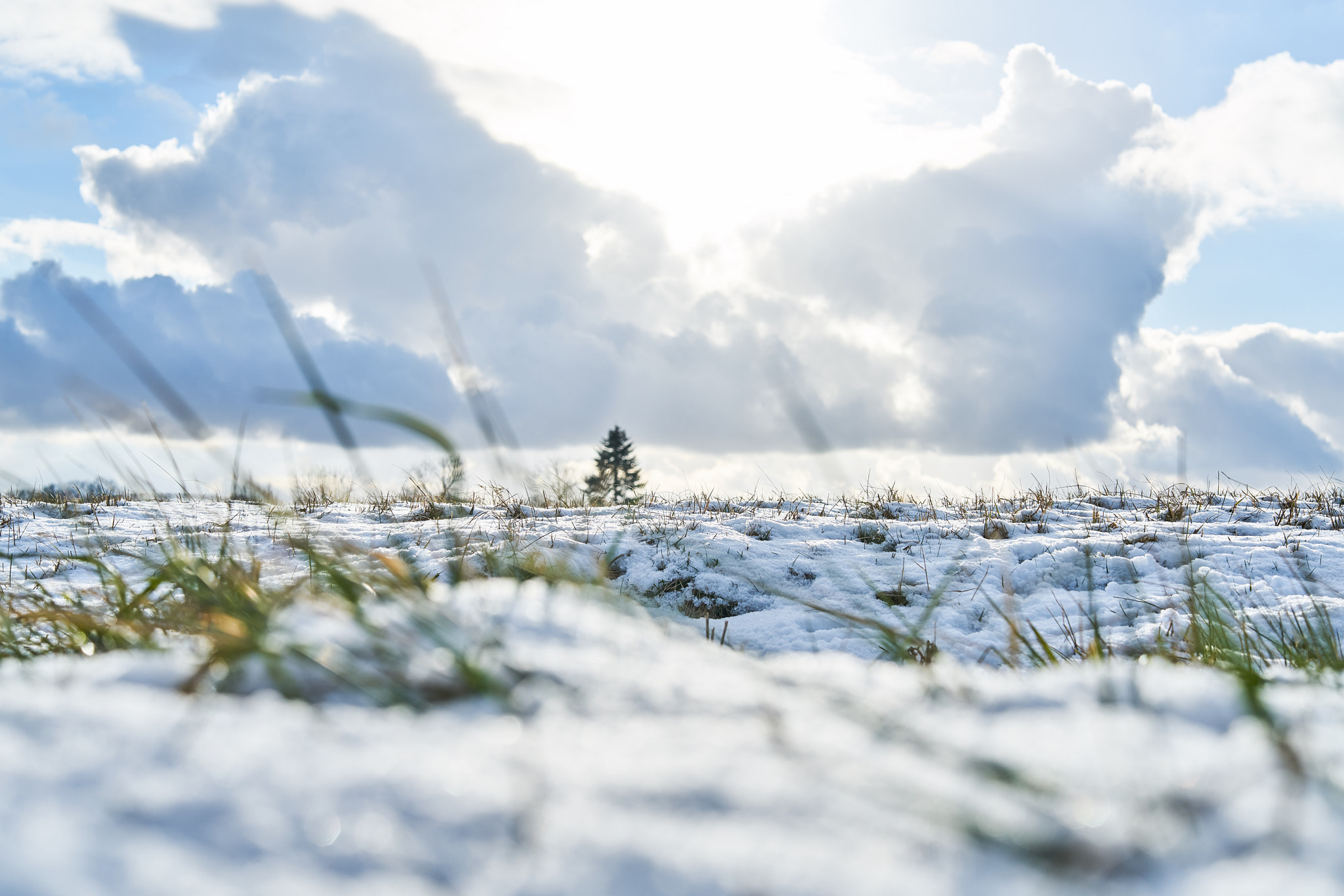 Sony a7R II + Samyang AF 50mm F1.4 FE sample photo. Snowflow photography