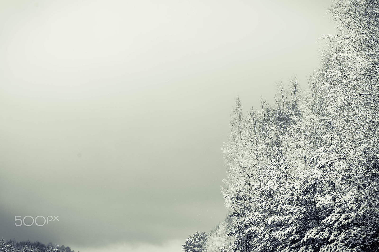 Canon EF 70-200mm F2.8L IS USM sample photo. Snow storm photography