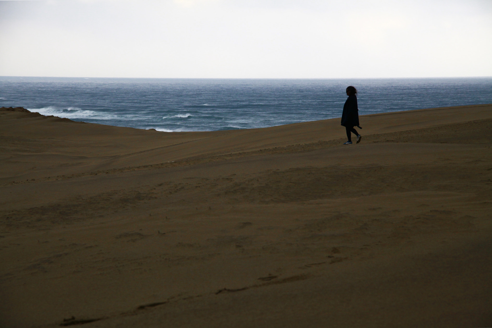 Sigma 24-105mm f/4 DG OS HSM | A sample photo. 鳥取砂丘  海 photography