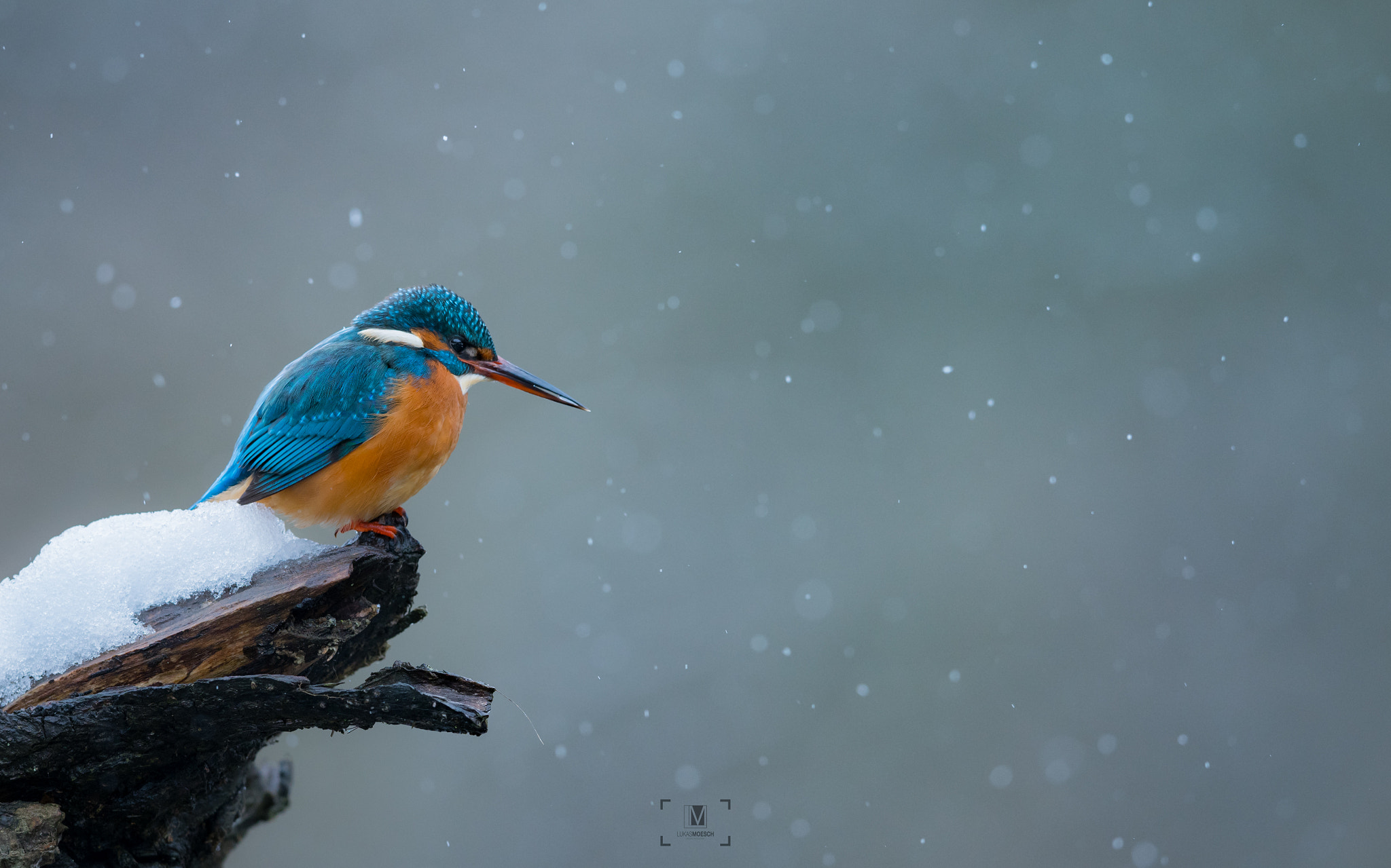 Nikon AF-S Nikkor 400mm F2.8E FL ED VR sample photo. Winter mood... photography