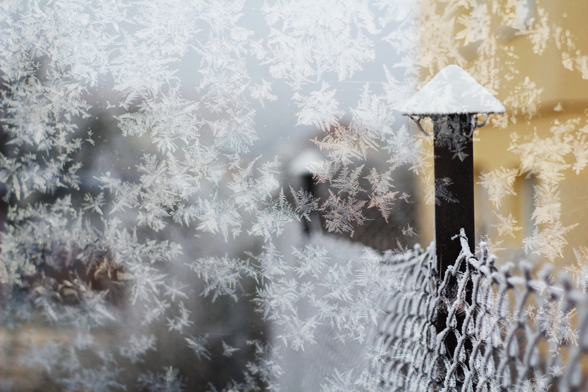 Canon EF 35-80mm f/4-5.6 sample photo. Winter with winter photography