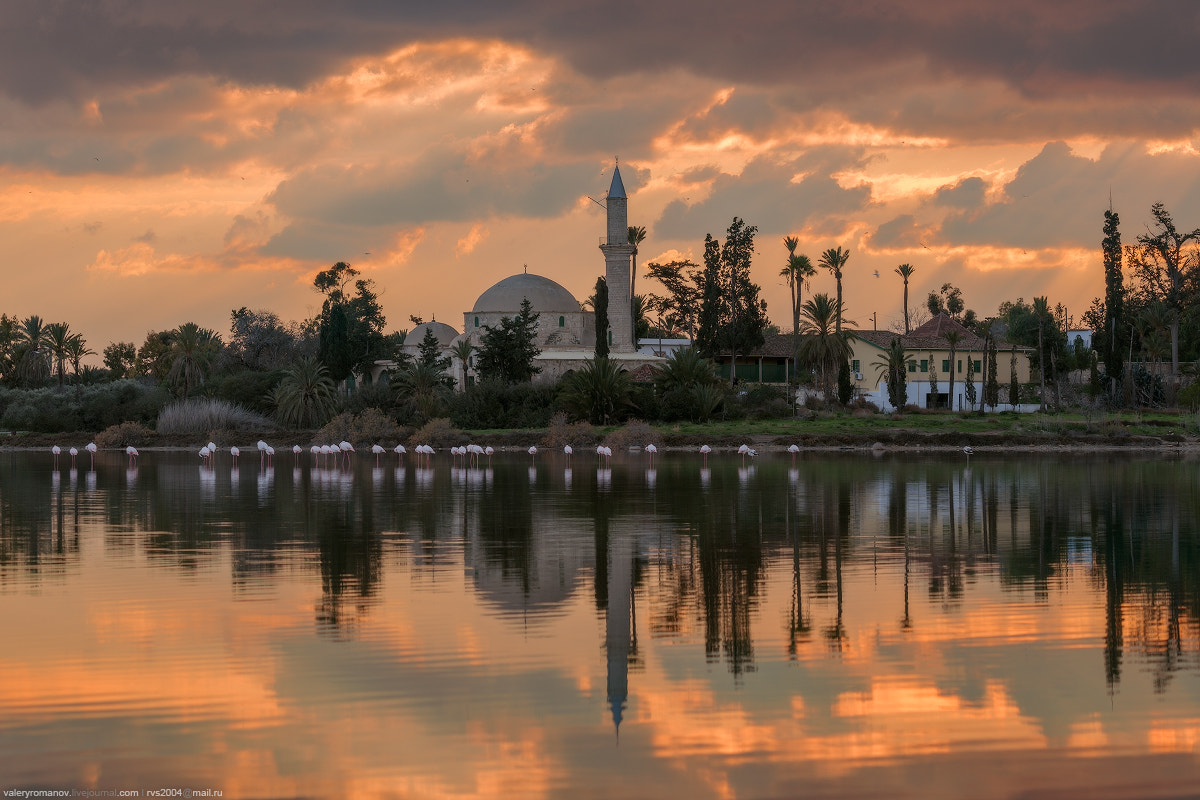 Tamron SP 150-600mm F5-6.3 Di VC USD sample photo. Sunset over flamingo photography