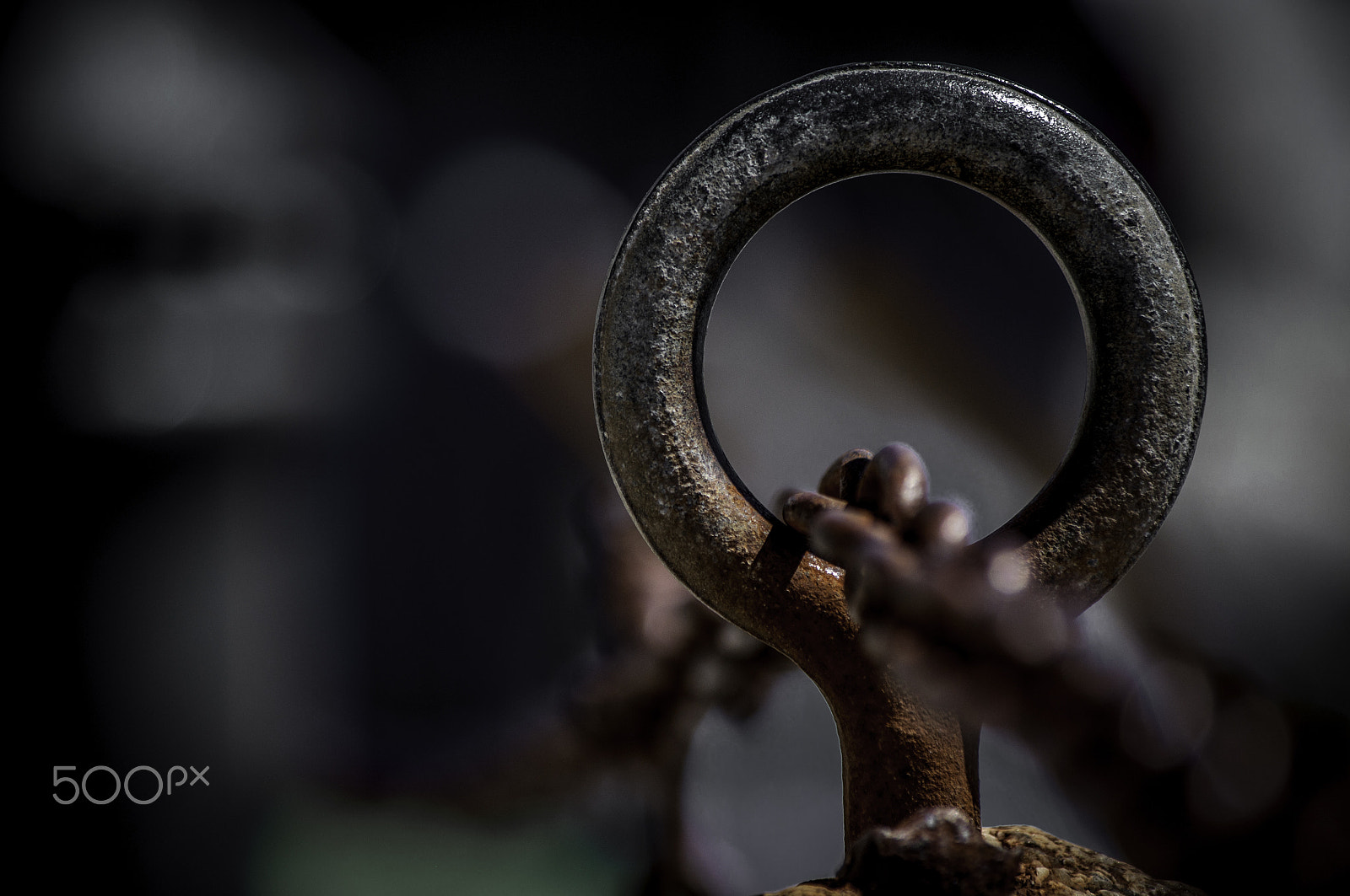 Nikon D5000 sample photo. Chain loop photography