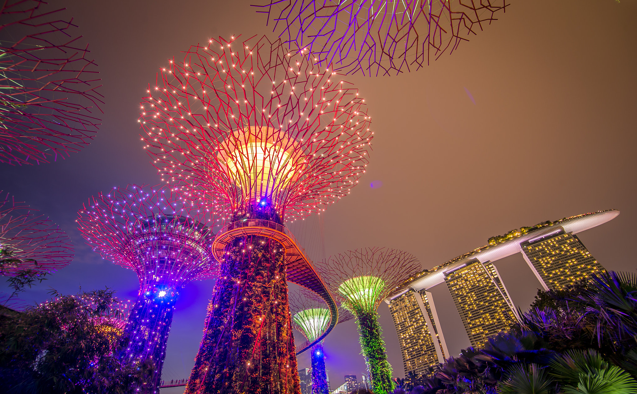 Nikon D4 + Tokina AT-X Pro 11-16mm F2.8 DX II sample photo. Gardens by the bay photography