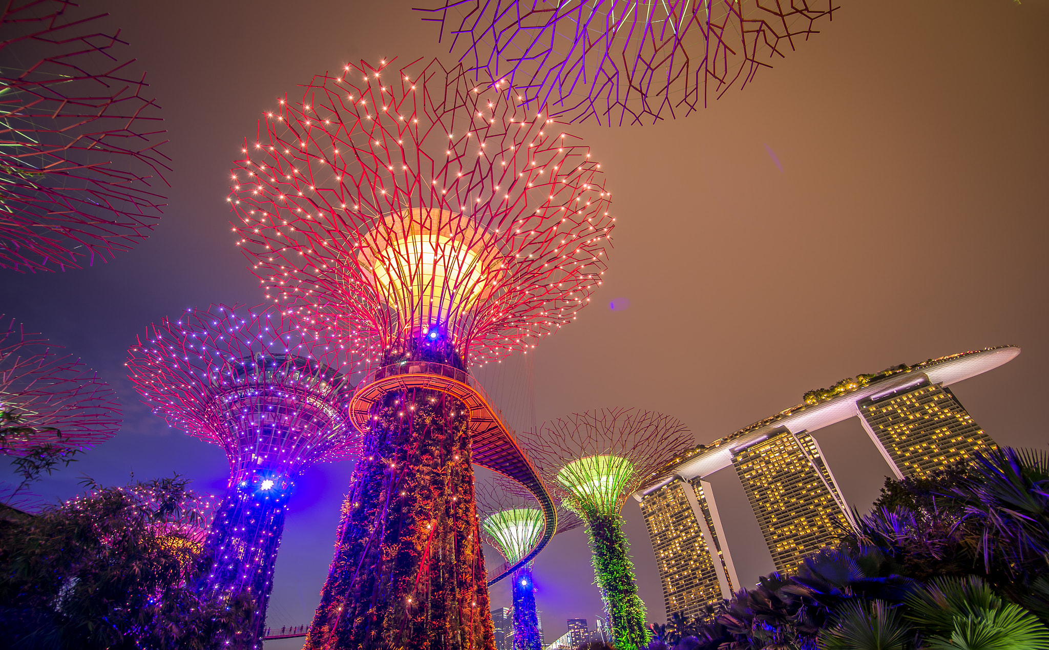 Nikon D4 sample photo. Gardens by the bay photography