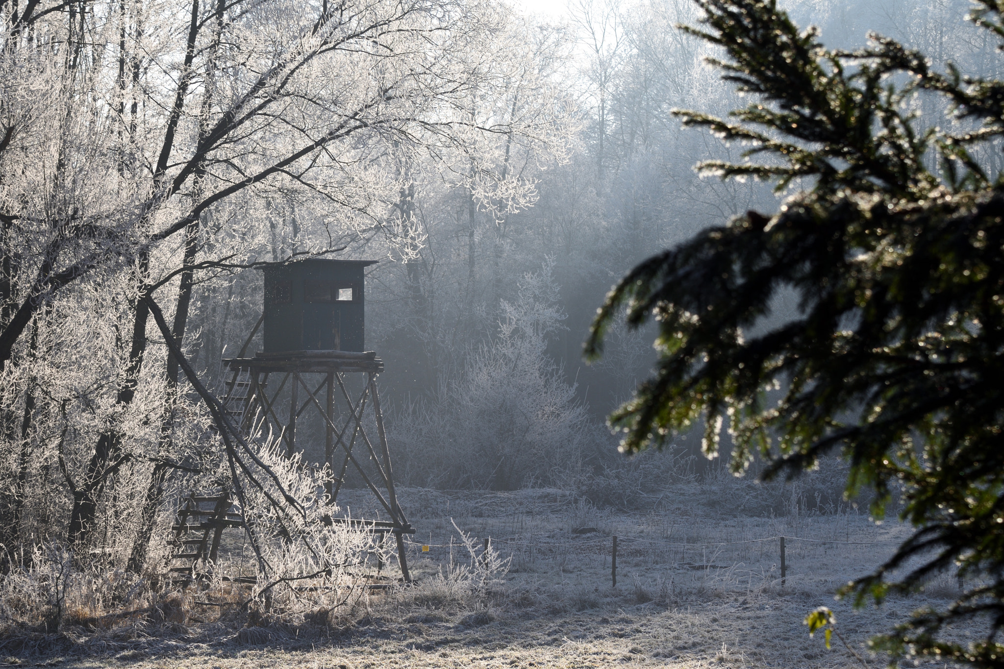 Nikon D5500 sample photo. Hunting obsession photography