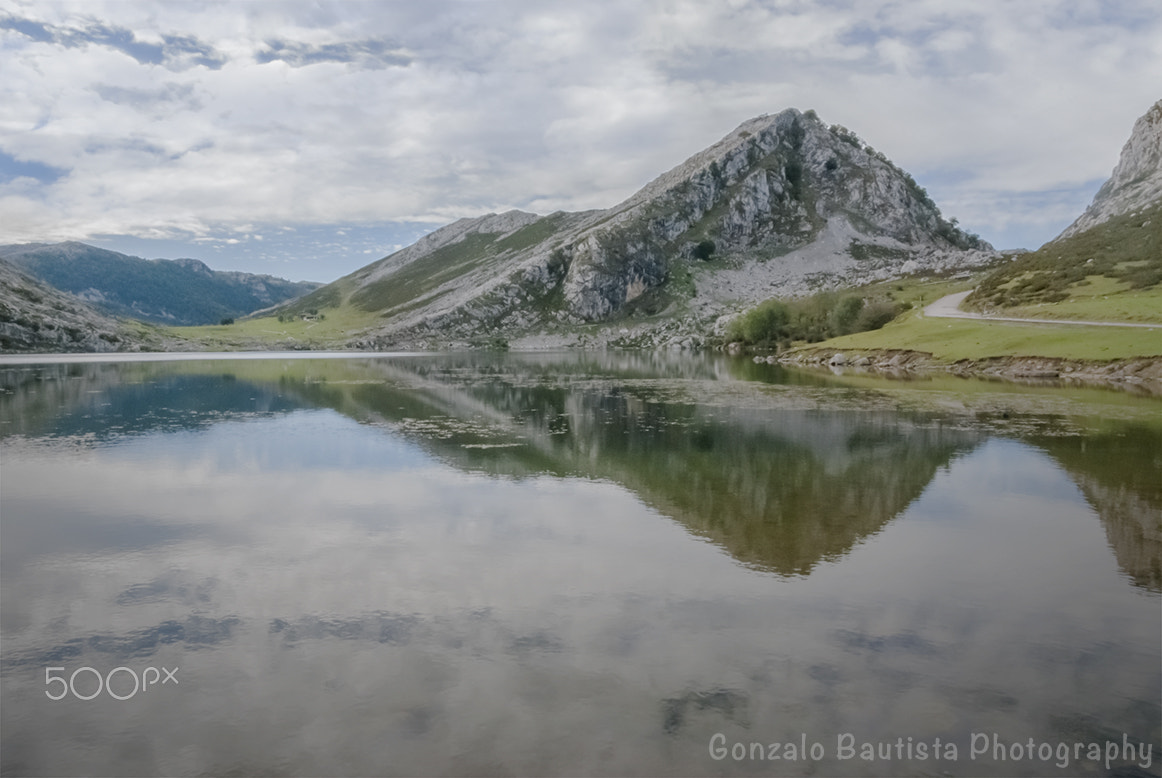 Nikon D40X sample photo. Lago enol. covadonga. photography