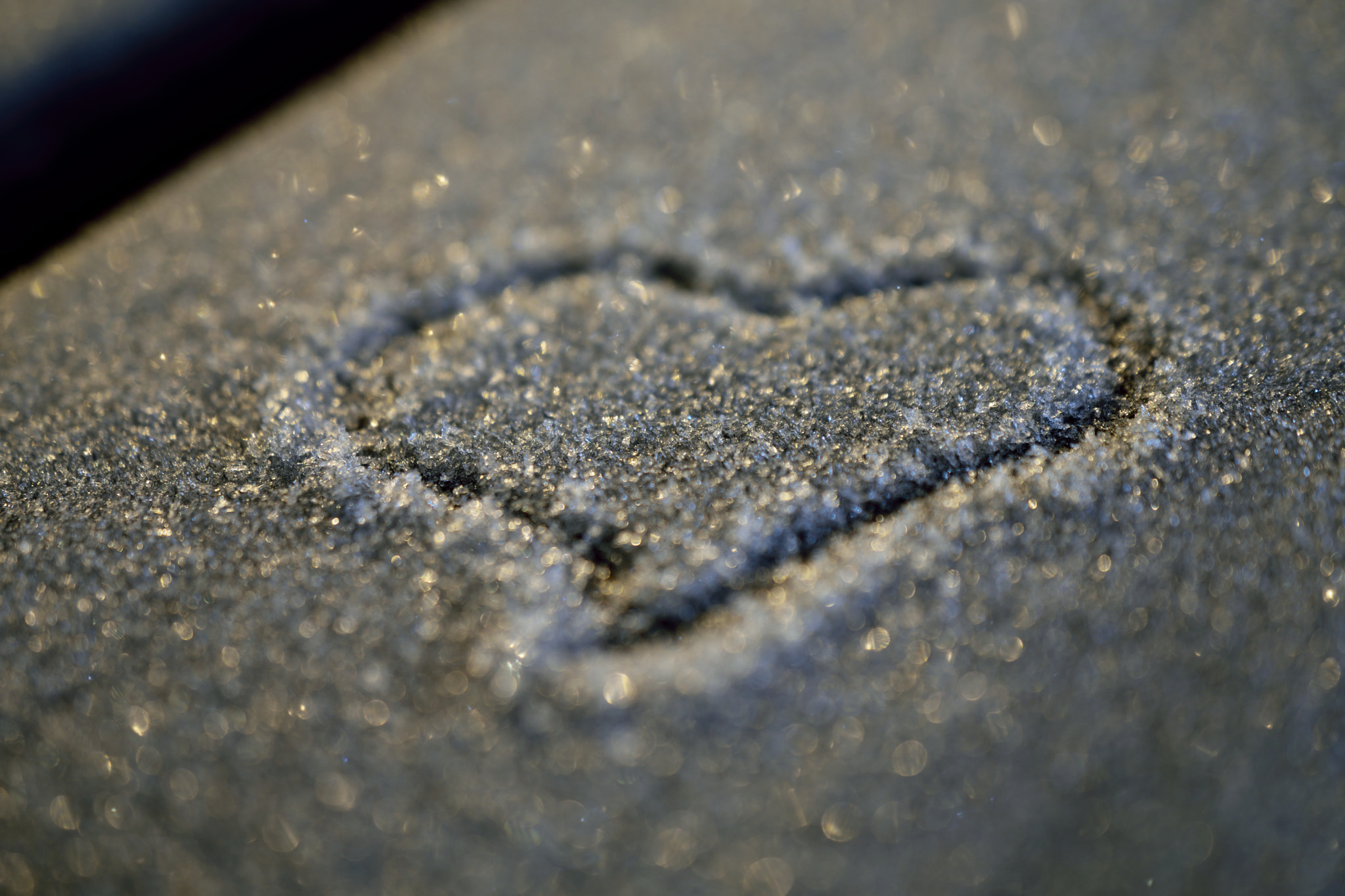 Nikon AF-S DX Micro Nikkor 40mm F2.8 sample photo. Heart photography