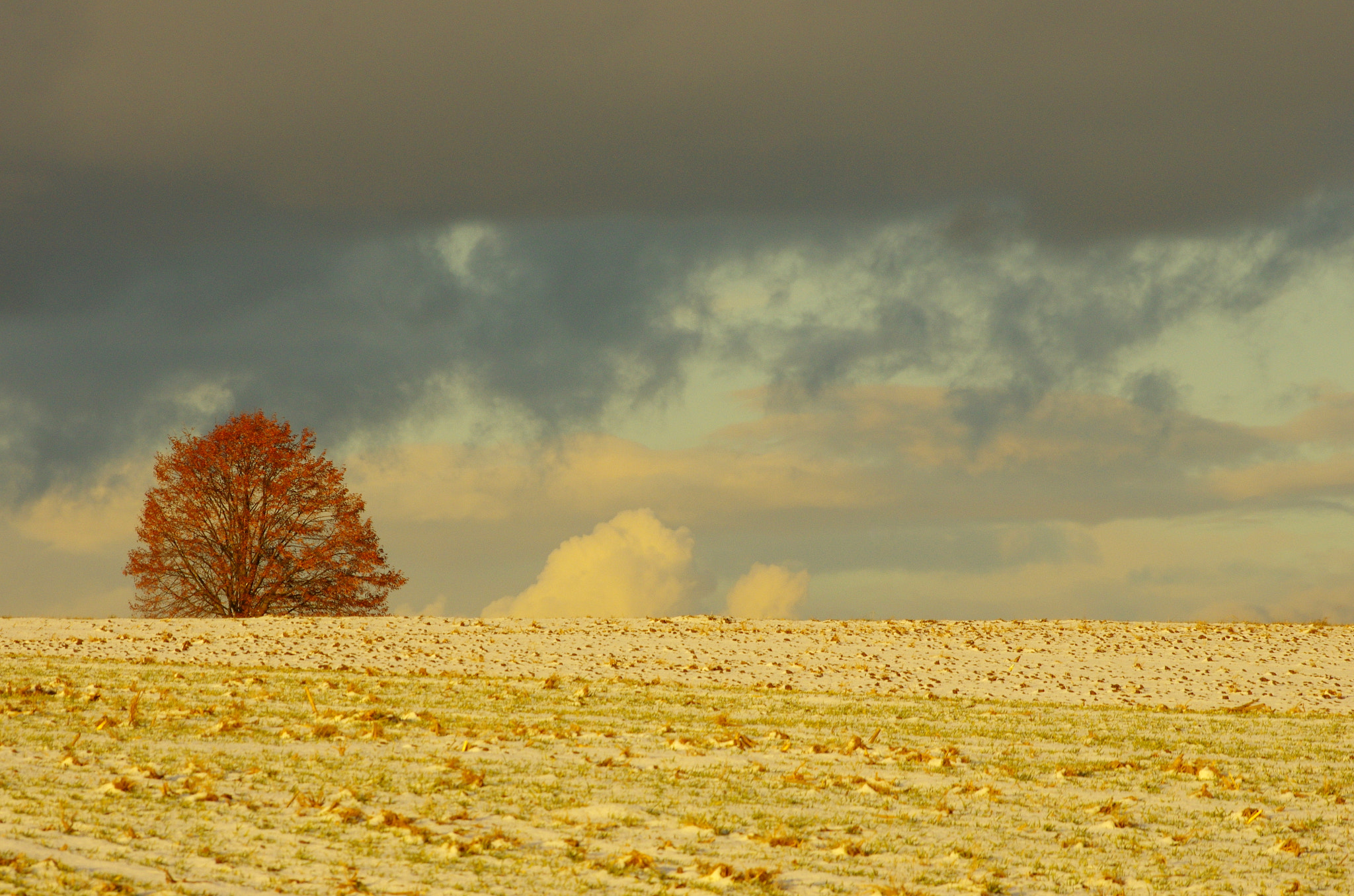 HD Pentax DA 55-300mm F4.0-5.8 ED WR sample photo. Colors of the winter photography