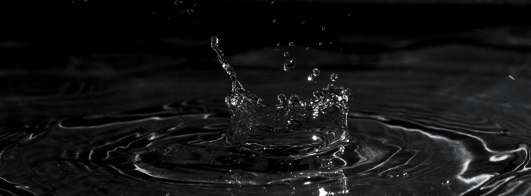 Nikon AF-S Micro-Nikkor 105mm F2.8G IF-ED VR sample photo. Dark photography