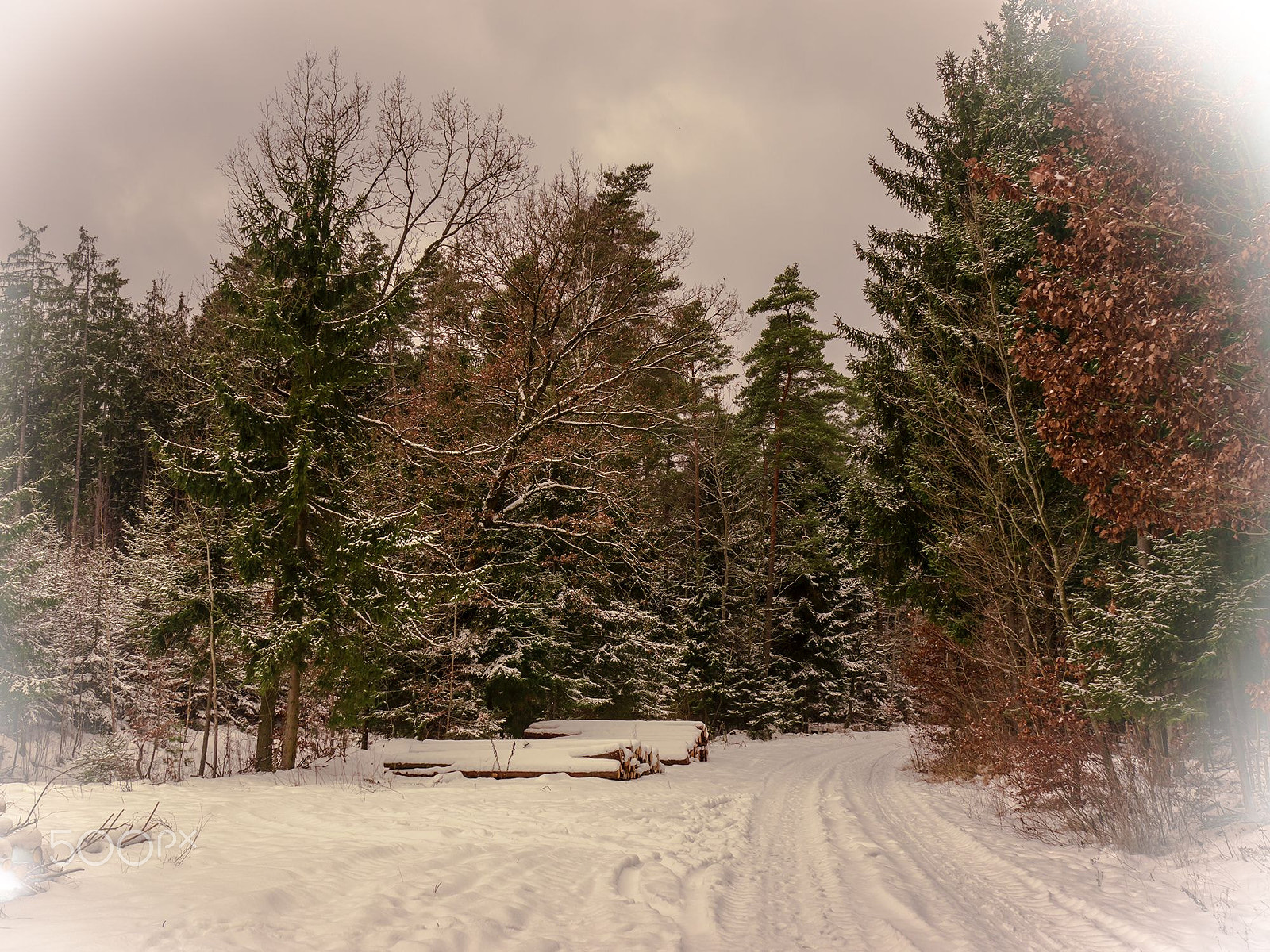 Panasonic Lumix DMC-G6 sample photo. Stille wege photography