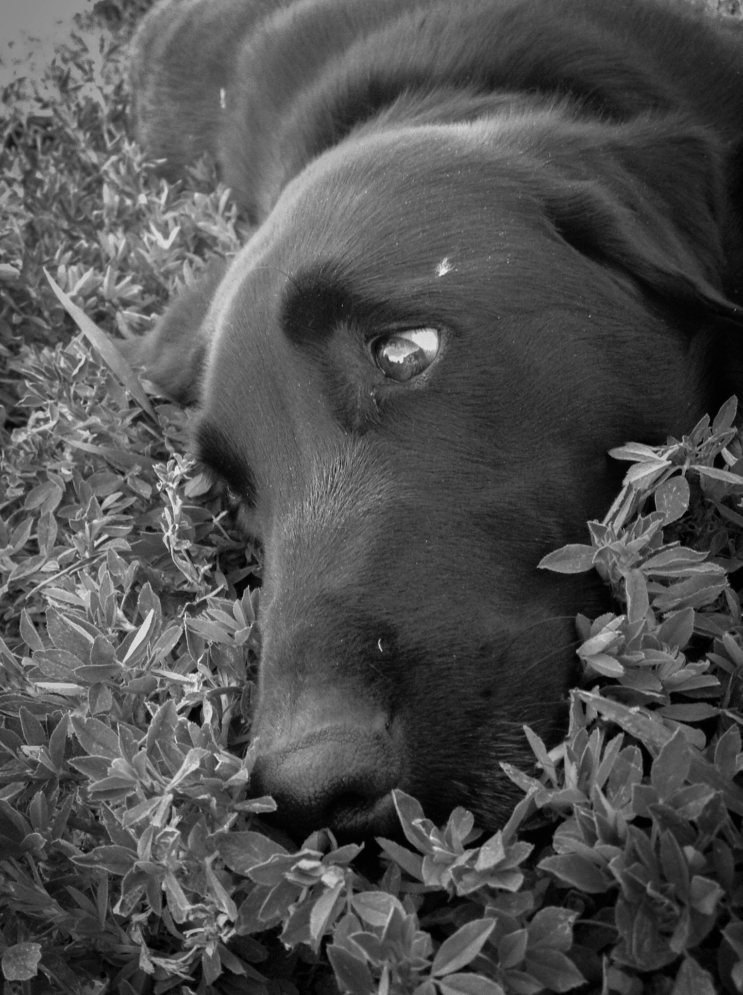 iPod touch back camera 3.3mm f/2.4 sample photo. Deep in thought. photography