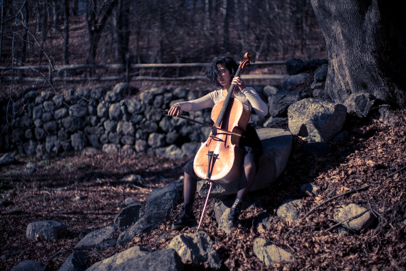 Summilux-M 1:1.4/50 sample photo. Cello in the woods photography
